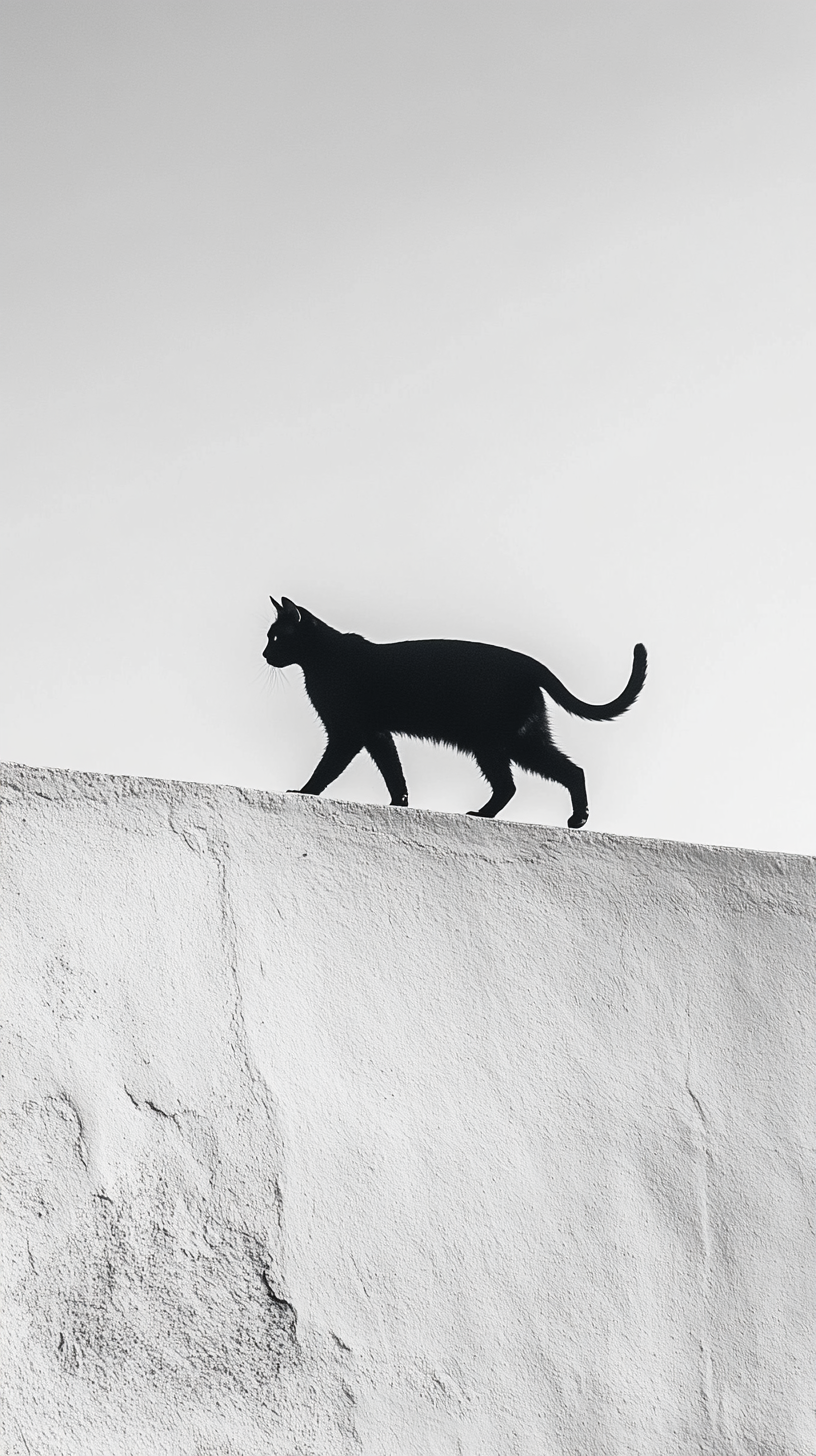 157 Fond D cran Noir Et Blanc T l chargement Gratuit HD 4K