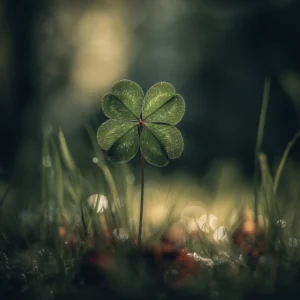 Trèfle à quatre feuilles thumbnail