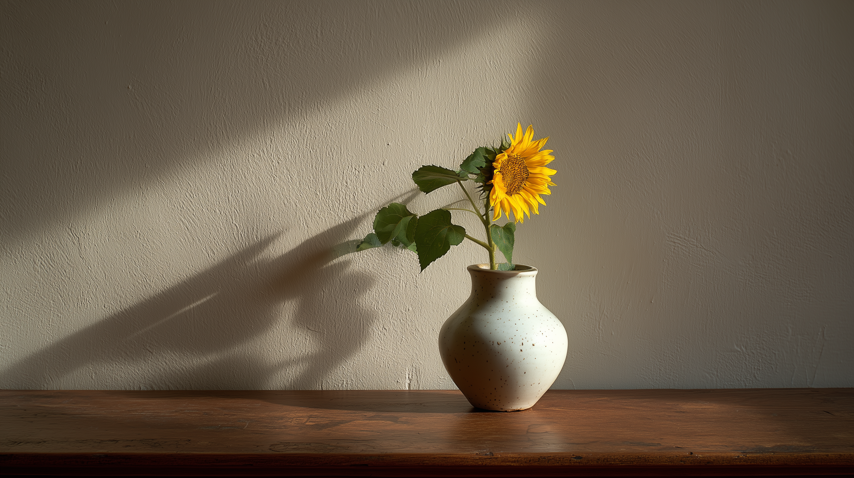 fond d'écran Tournesol windows 11 téléchargement gratuit
