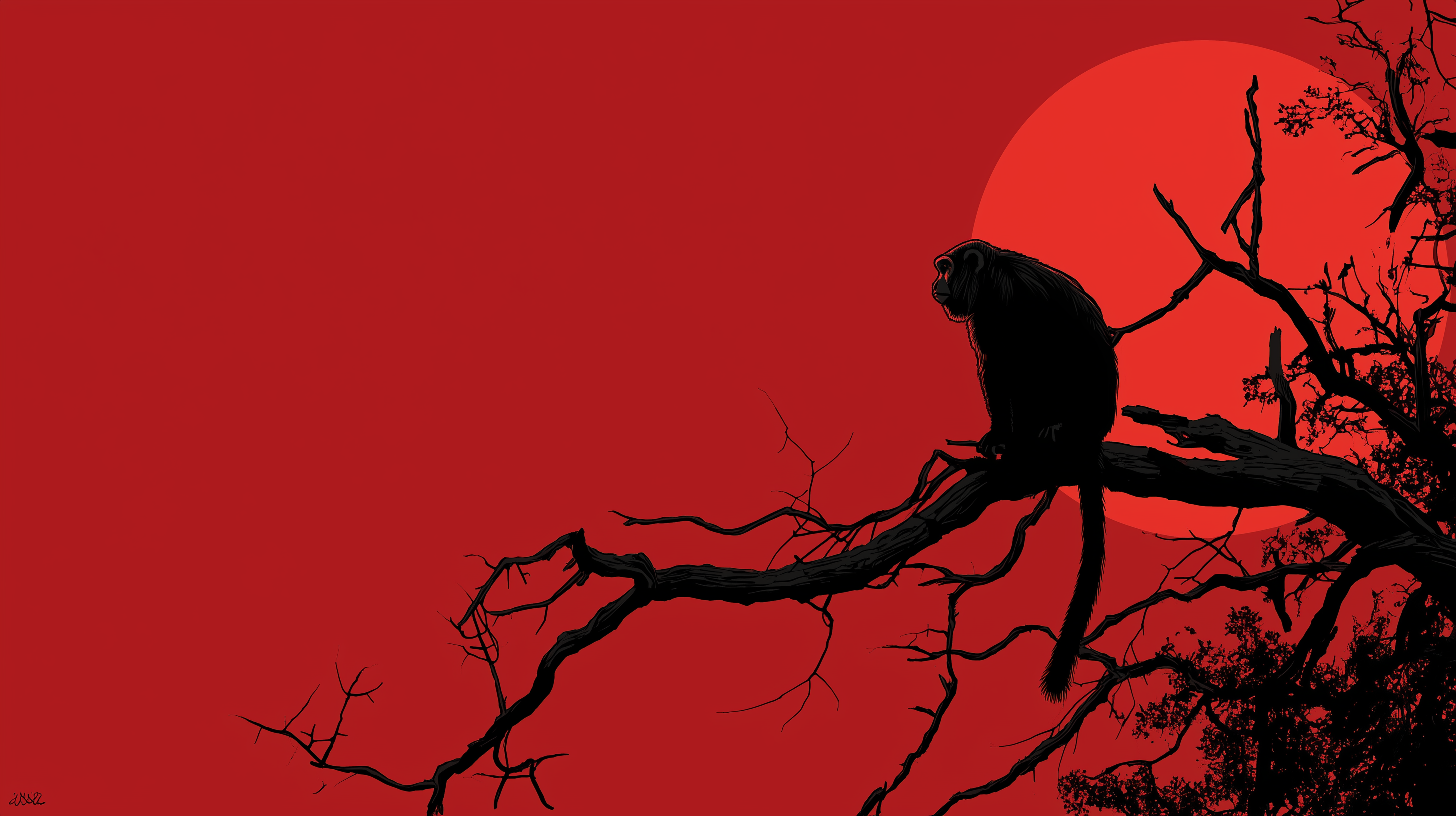 fond d'écran Singe ultra large téléchargement gratuit