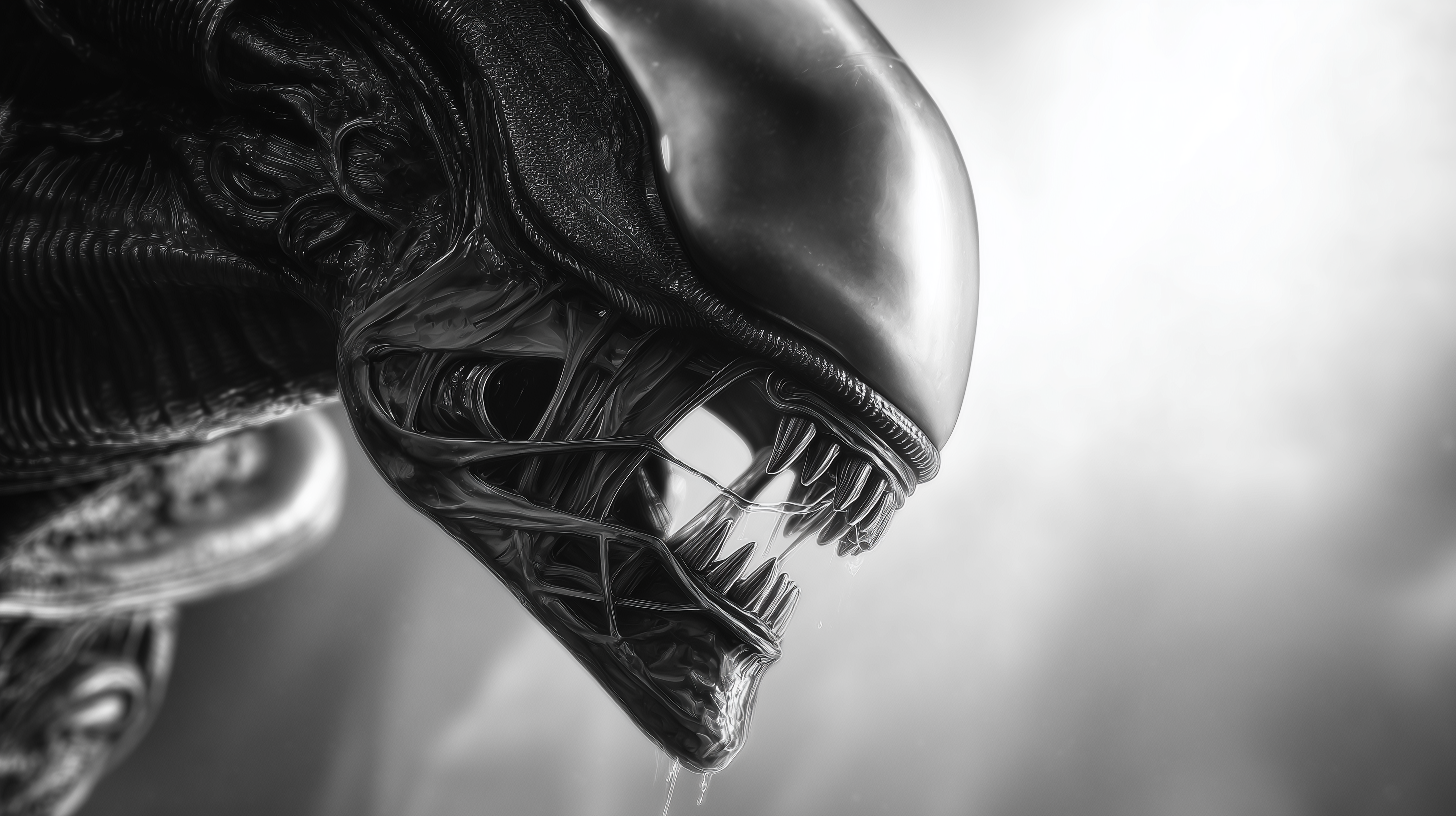 fond d'écran Xenomorph 5k téléchargement gratuit