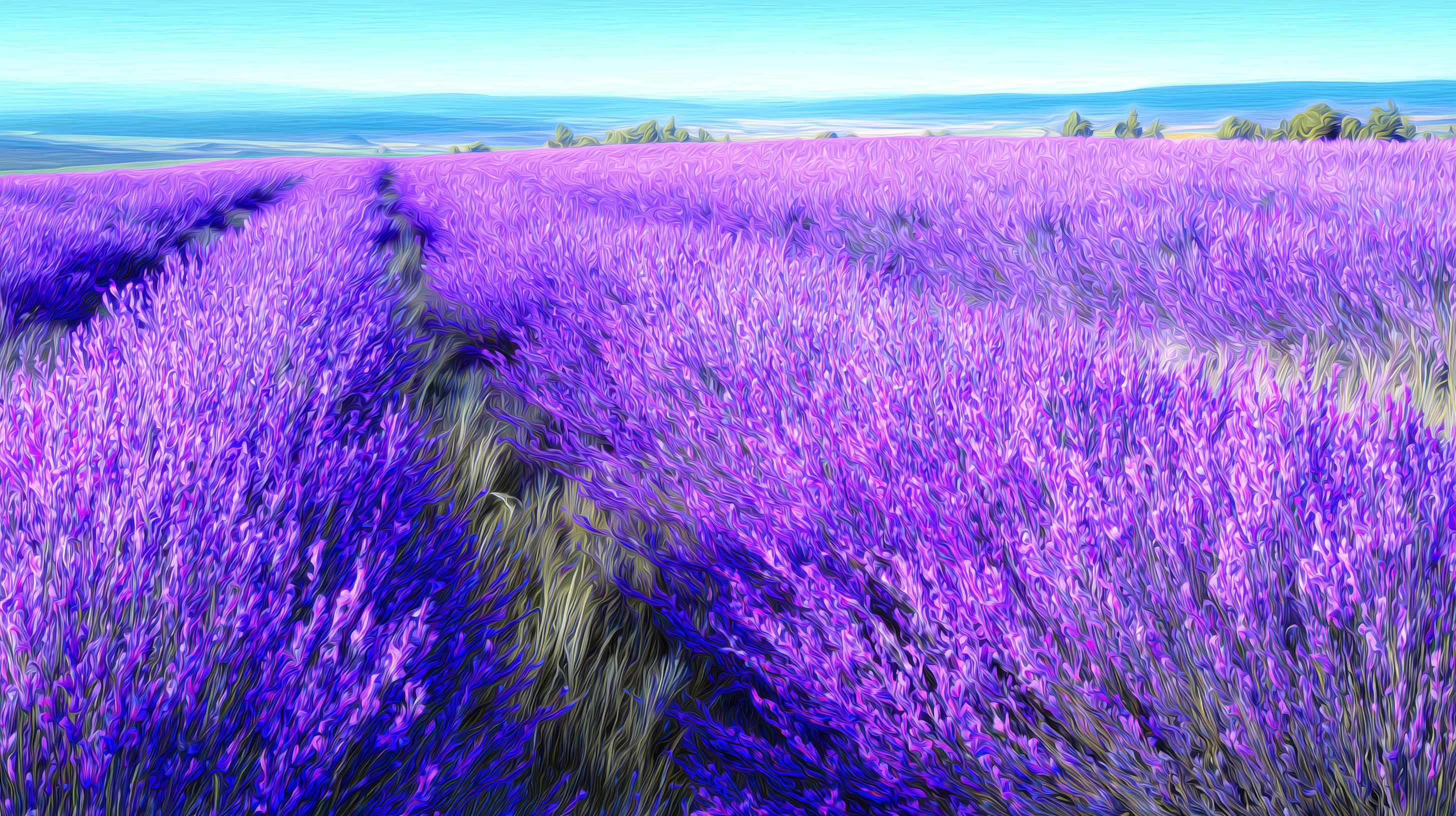 fond d'écran Lavande pc 4k 1920x1080 téléchargement gratuit