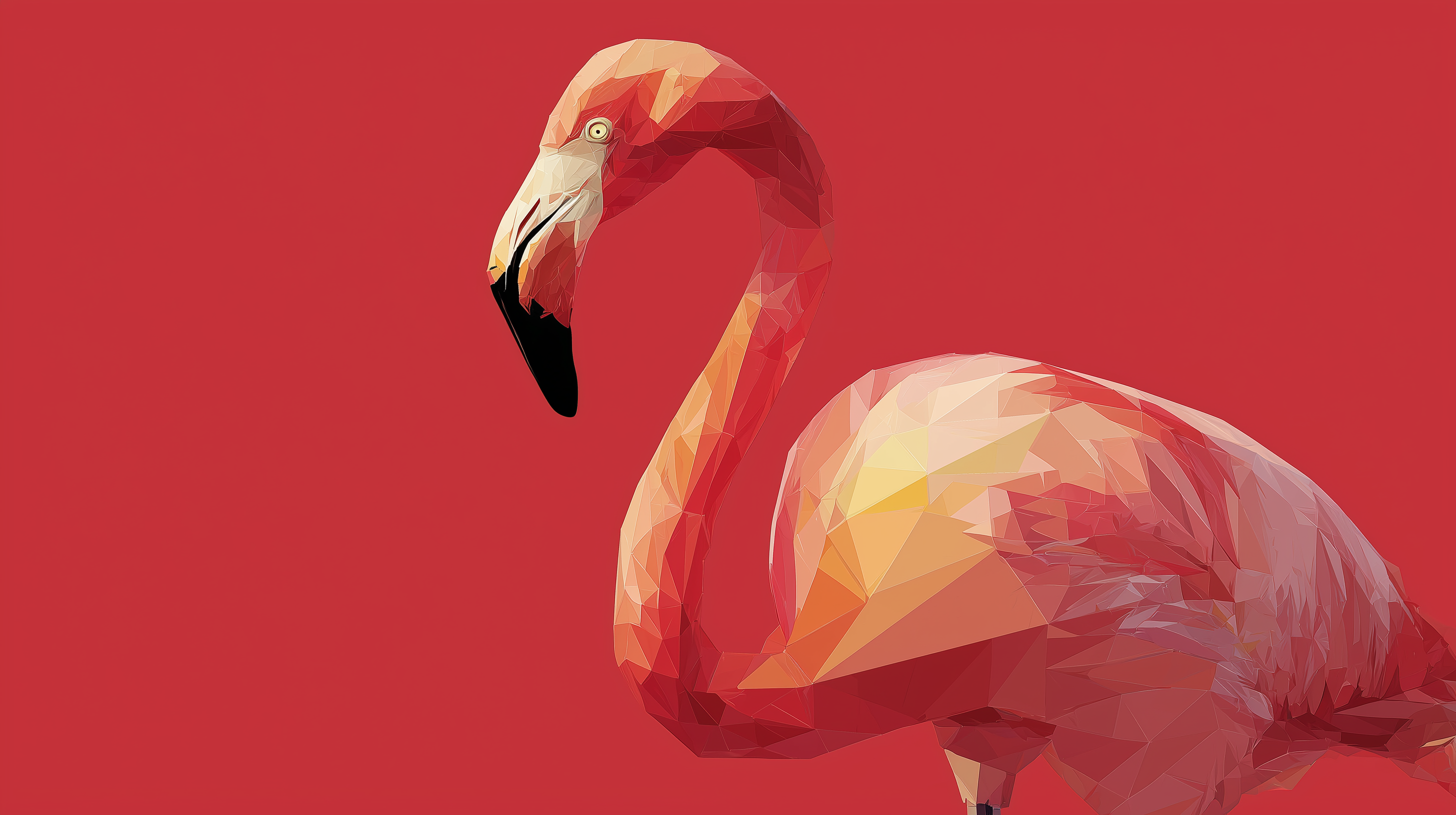 fond d'écran Flamant 1920x1080 téléchargement gratuit