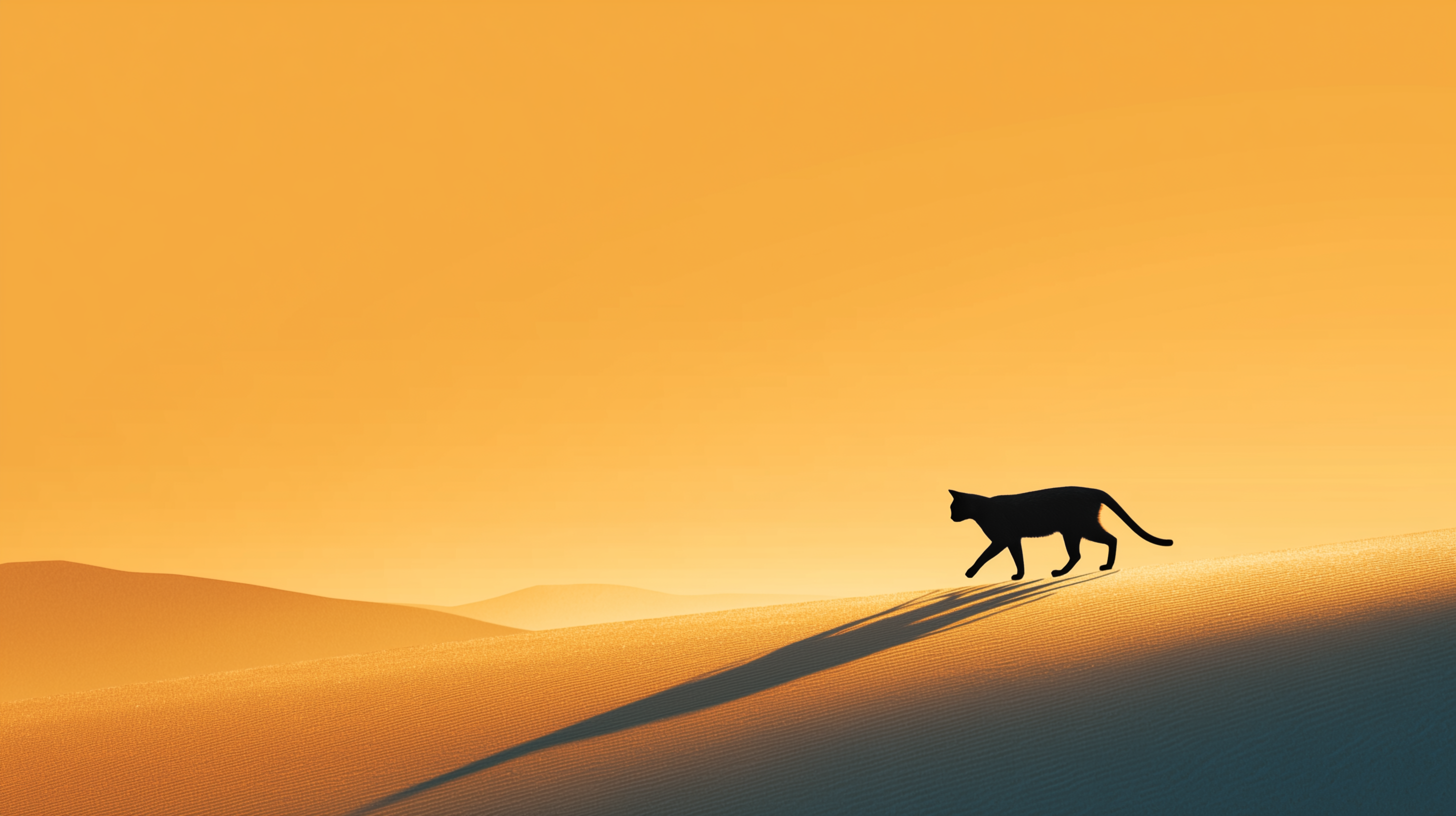 fond d'écran Chat noir windows 11 1920x1080 téléchargement gratuit