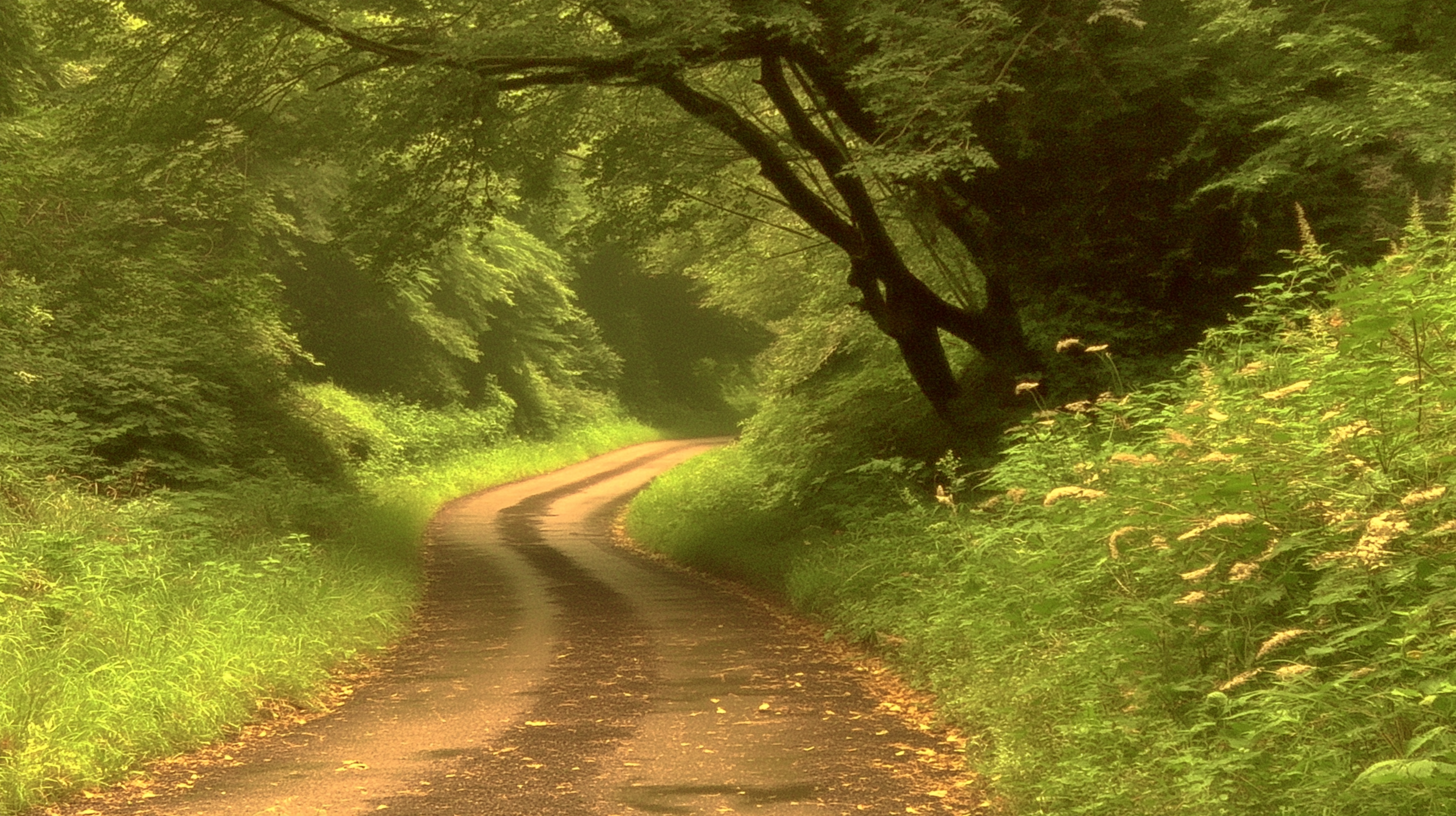 fond d'écran Route pc 2560x1600 téléchargement gratuit