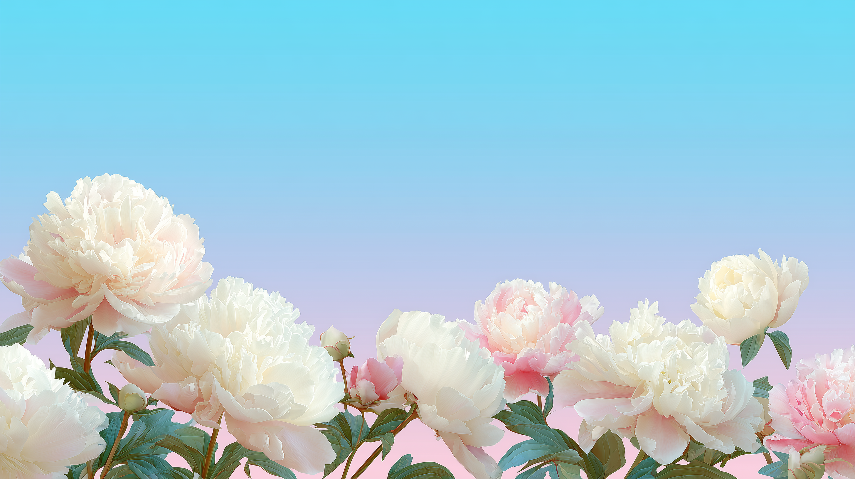 fond d'écran Pivoines mac 1920x1080 téléchargement gratuit