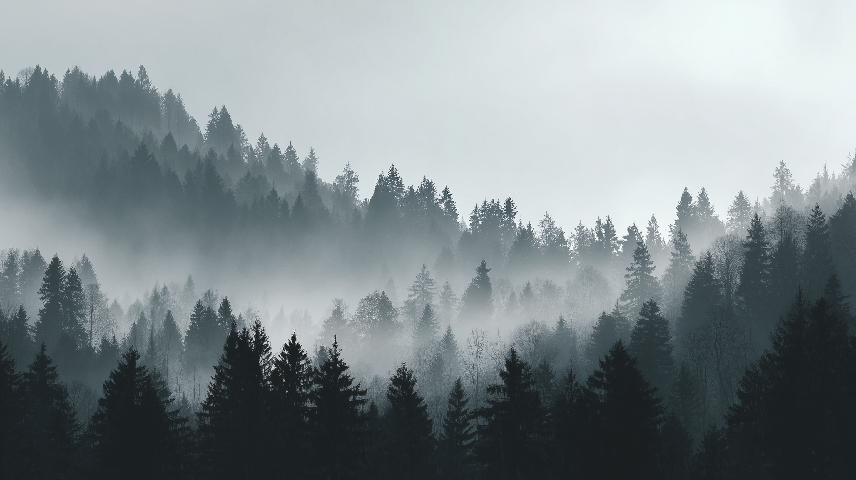 fond d'écran Gris 4k windows 11 téléchargement gratuit