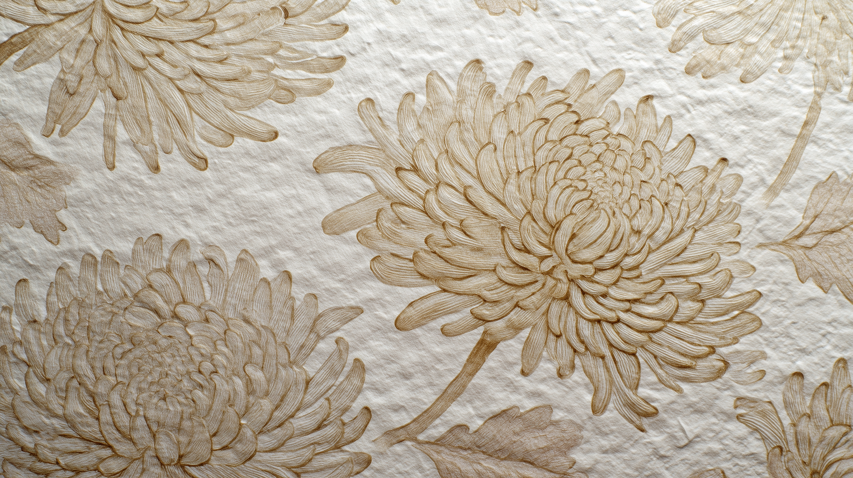 fond d'écran Chrysanthemum 8k téléchargement gratuit