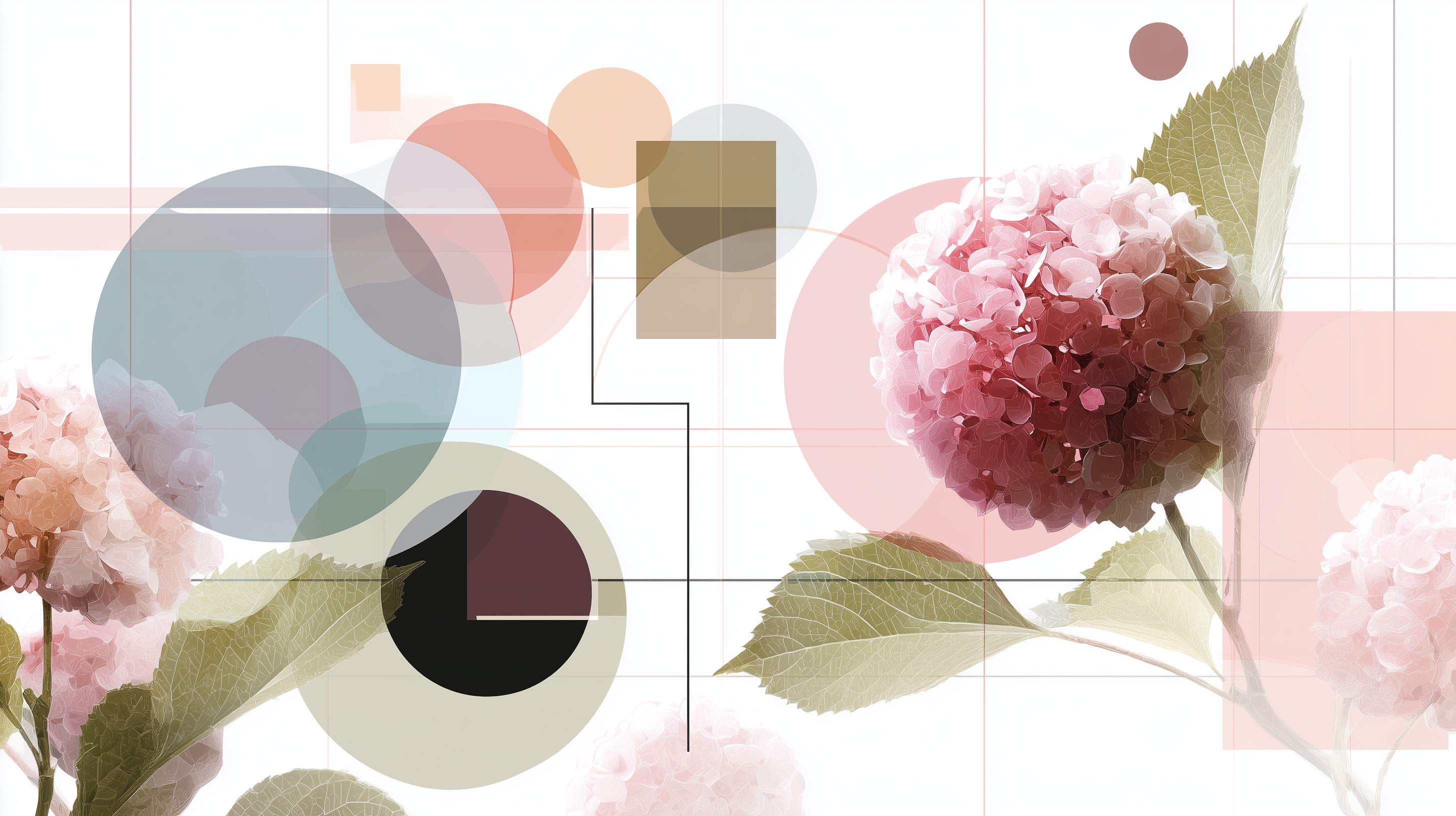 fond d'écran Hortensias meilleure téléchargement gratuit
