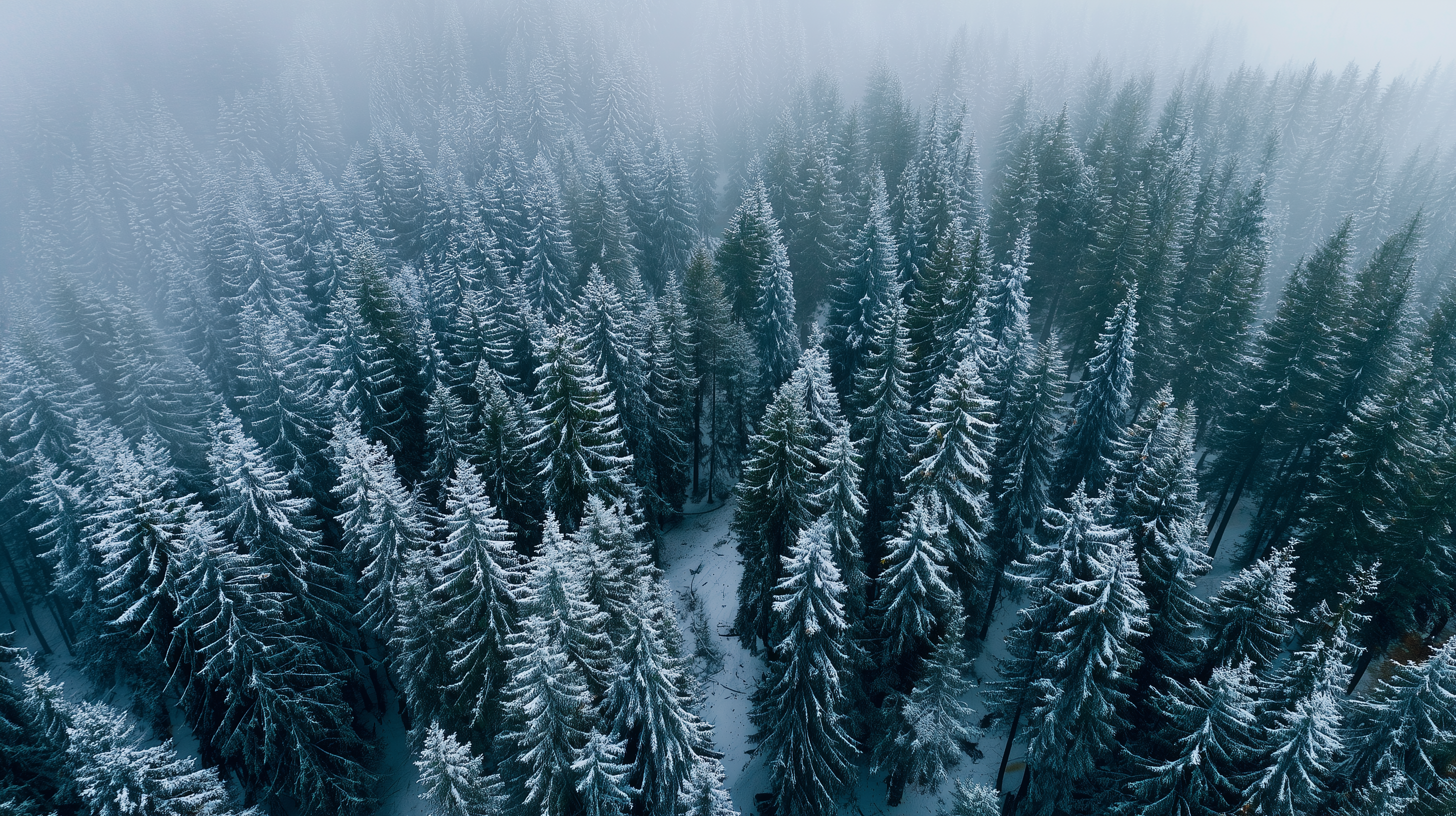 fond d'écran Hiver mac apple téléchargement gratuit