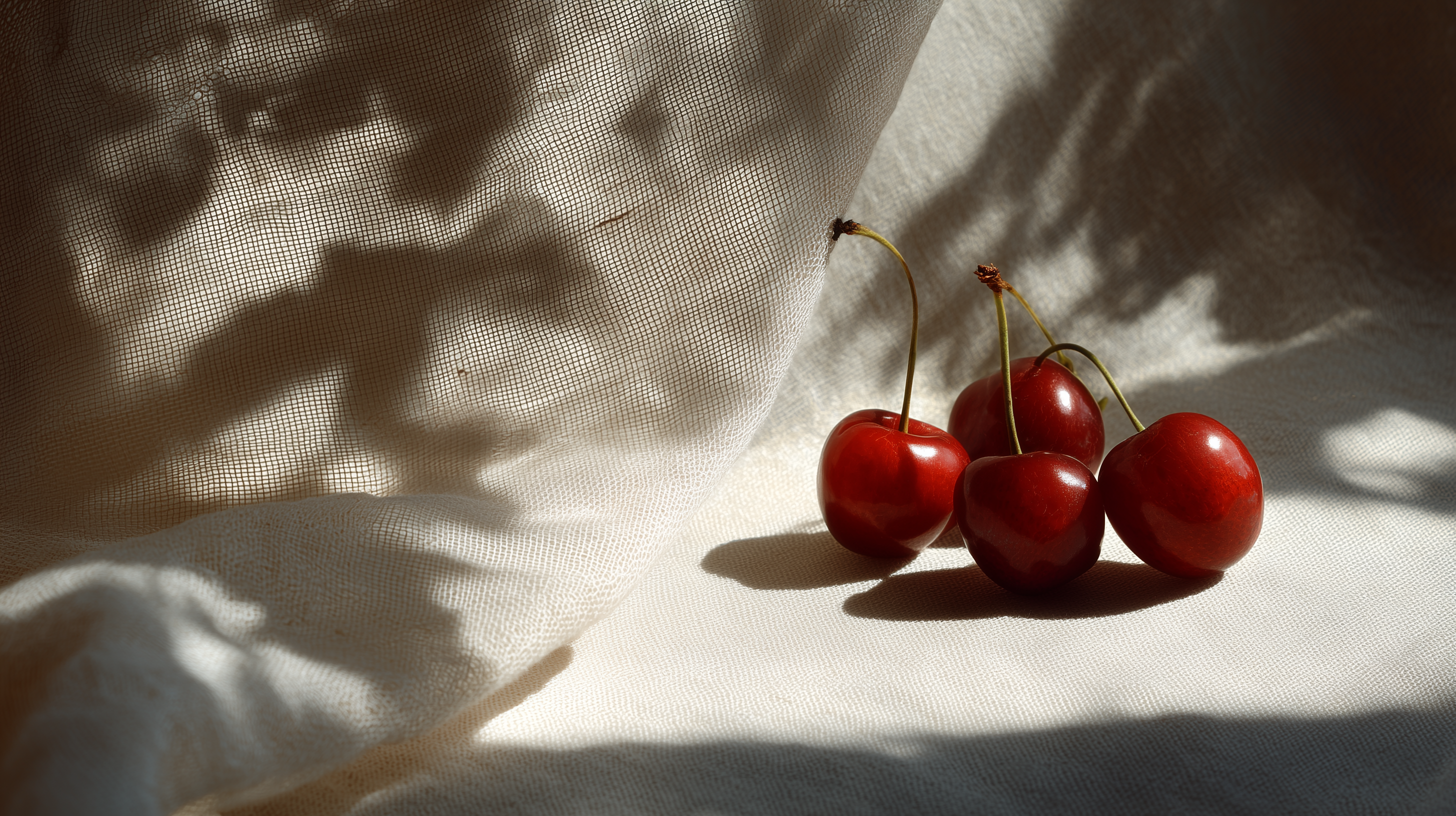 dell fond d'écran Cerise téléchargement gratuit