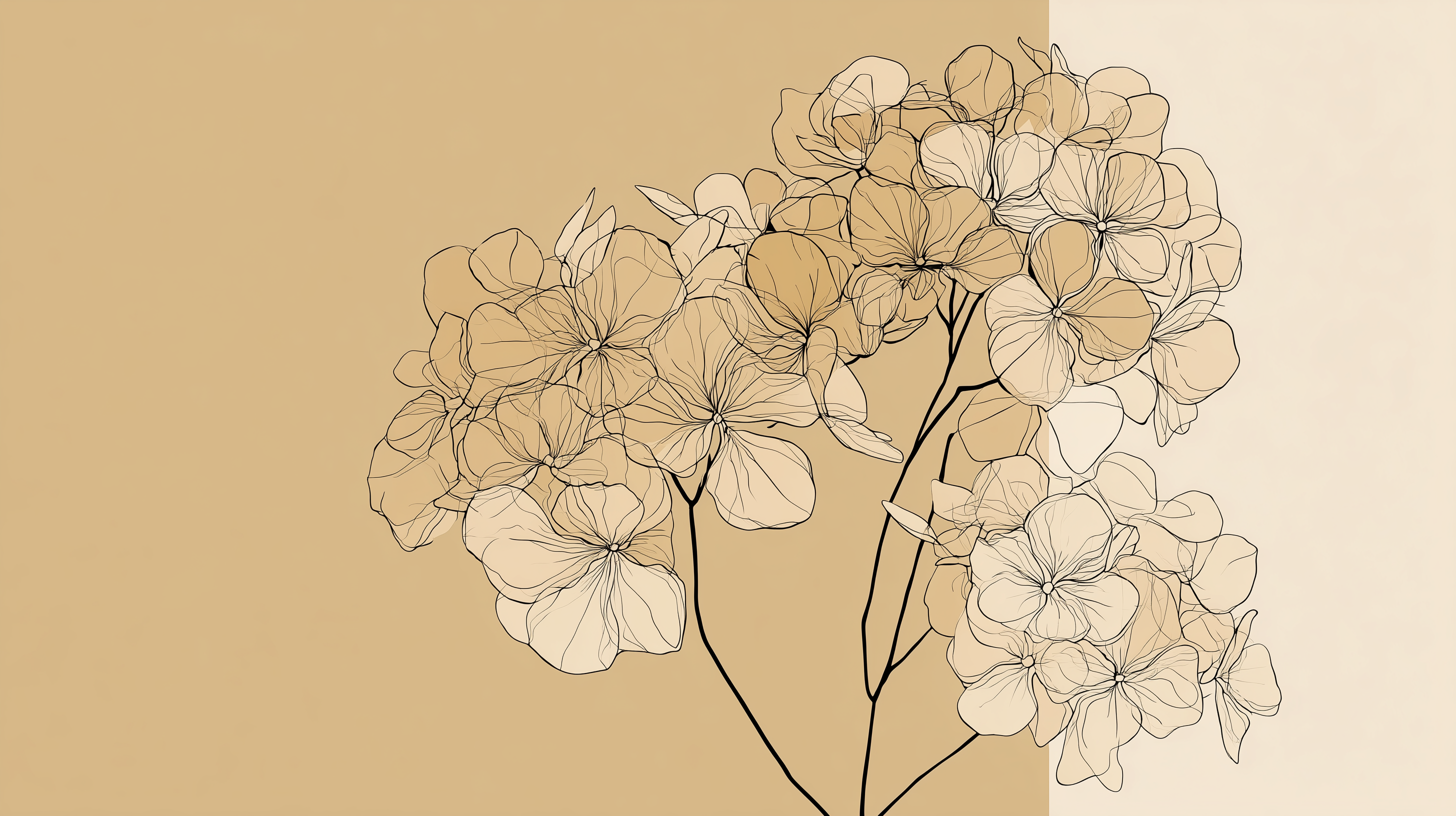 fond d'écran Hortensias hp windows 11 téléchargement gratuit