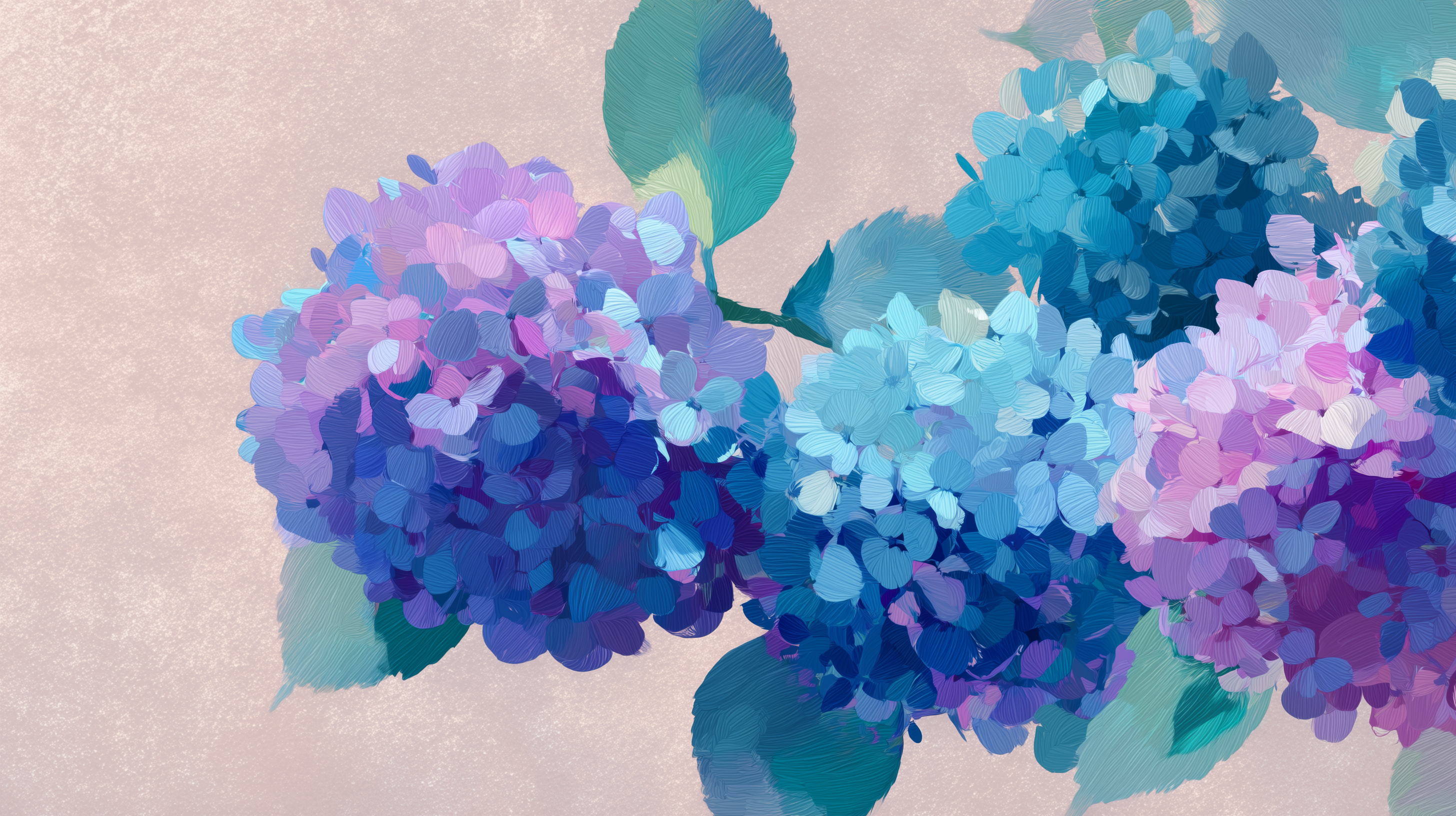 fond d'écran Hortensias 2560x1600 hd téléchargement gratuit