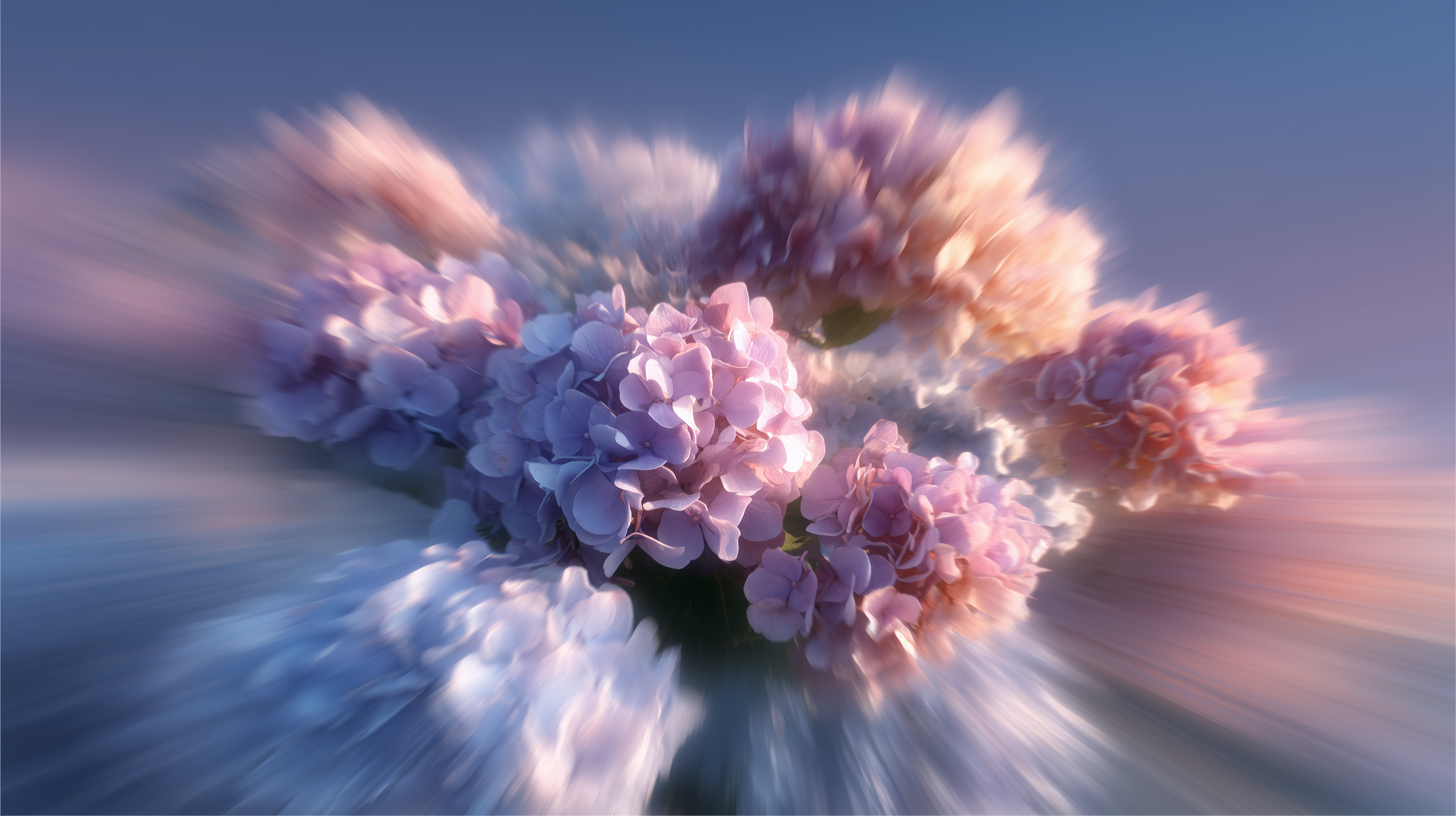 fond d'écran Hortensias 2560x1440 téléchargement gratuit