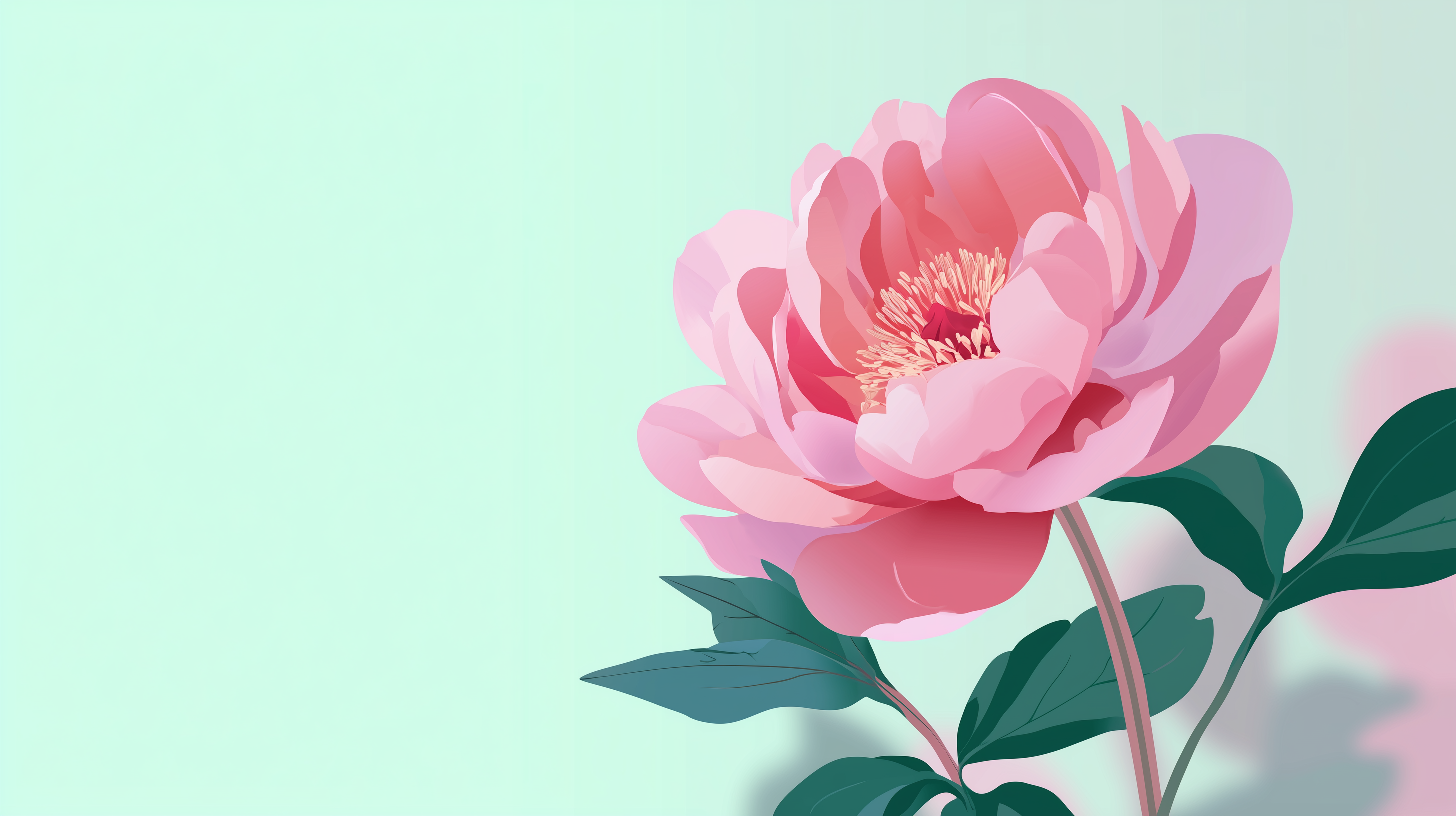 fond d'écran Pivoines windows 11 ultra hd téléchargement gratuit