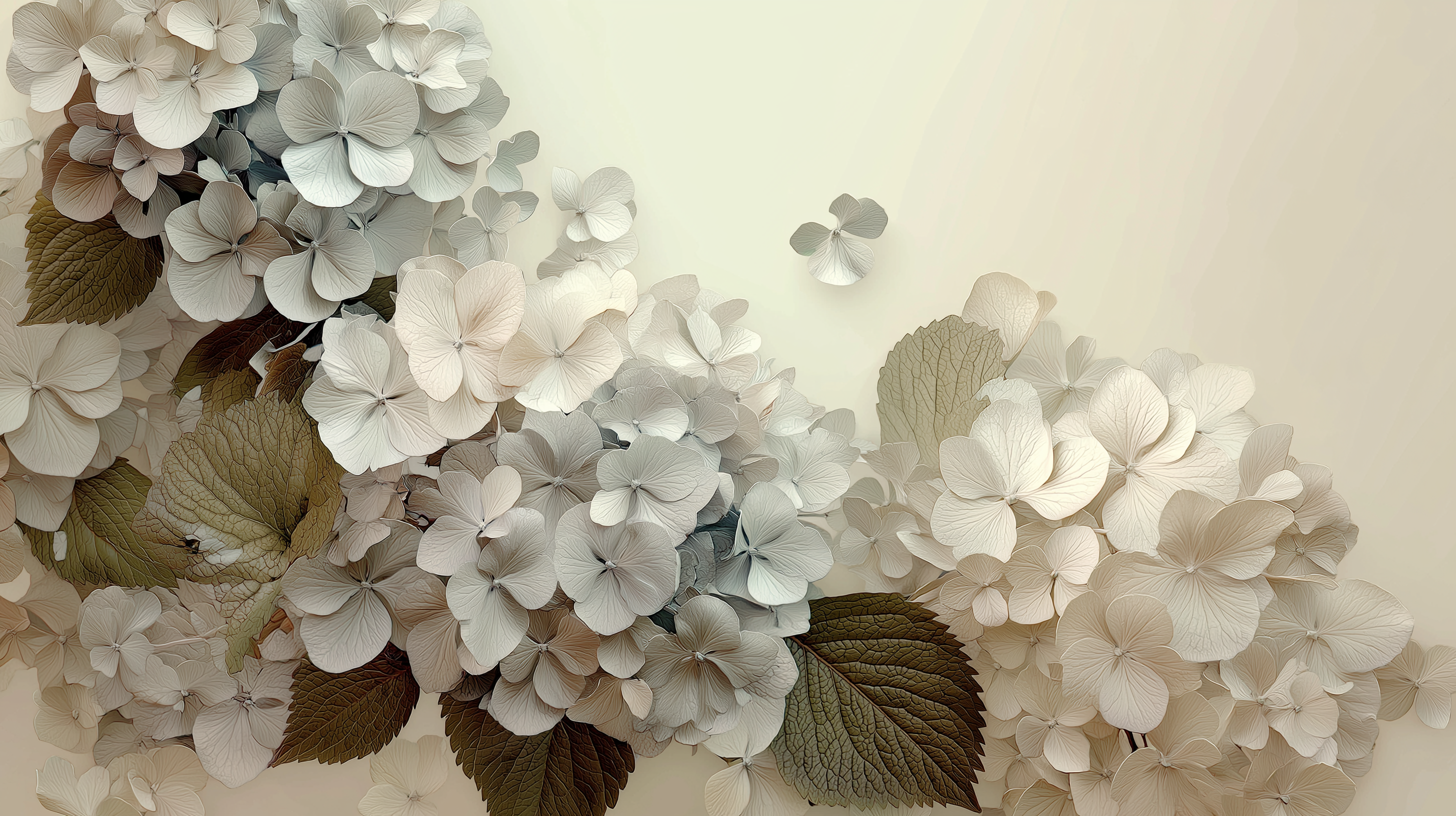 fond d'écran Hortensias windows xp téléchargement gratuit