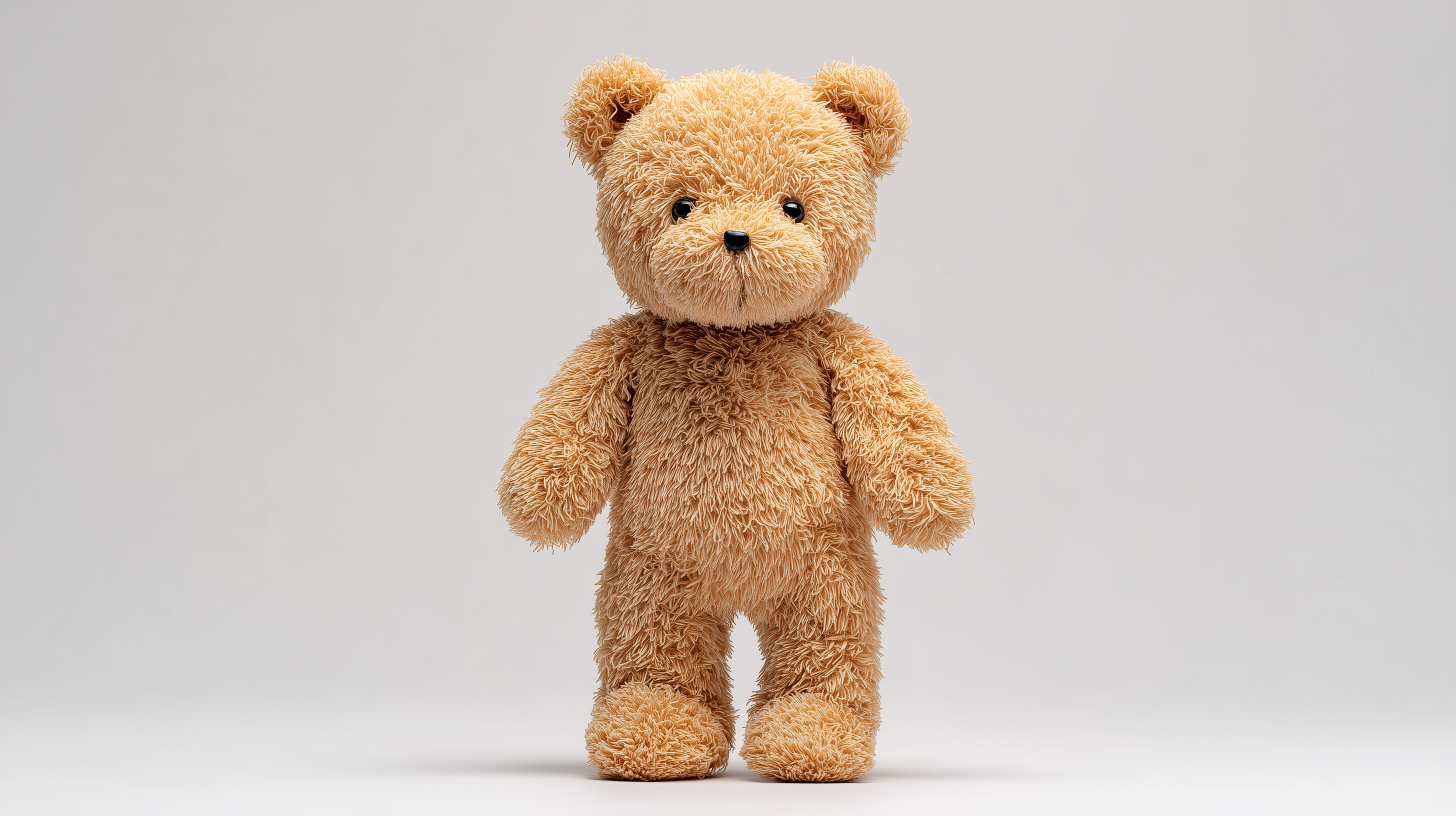 fond d'écran Ours en peluche 1280x800 téléchargement gratuit