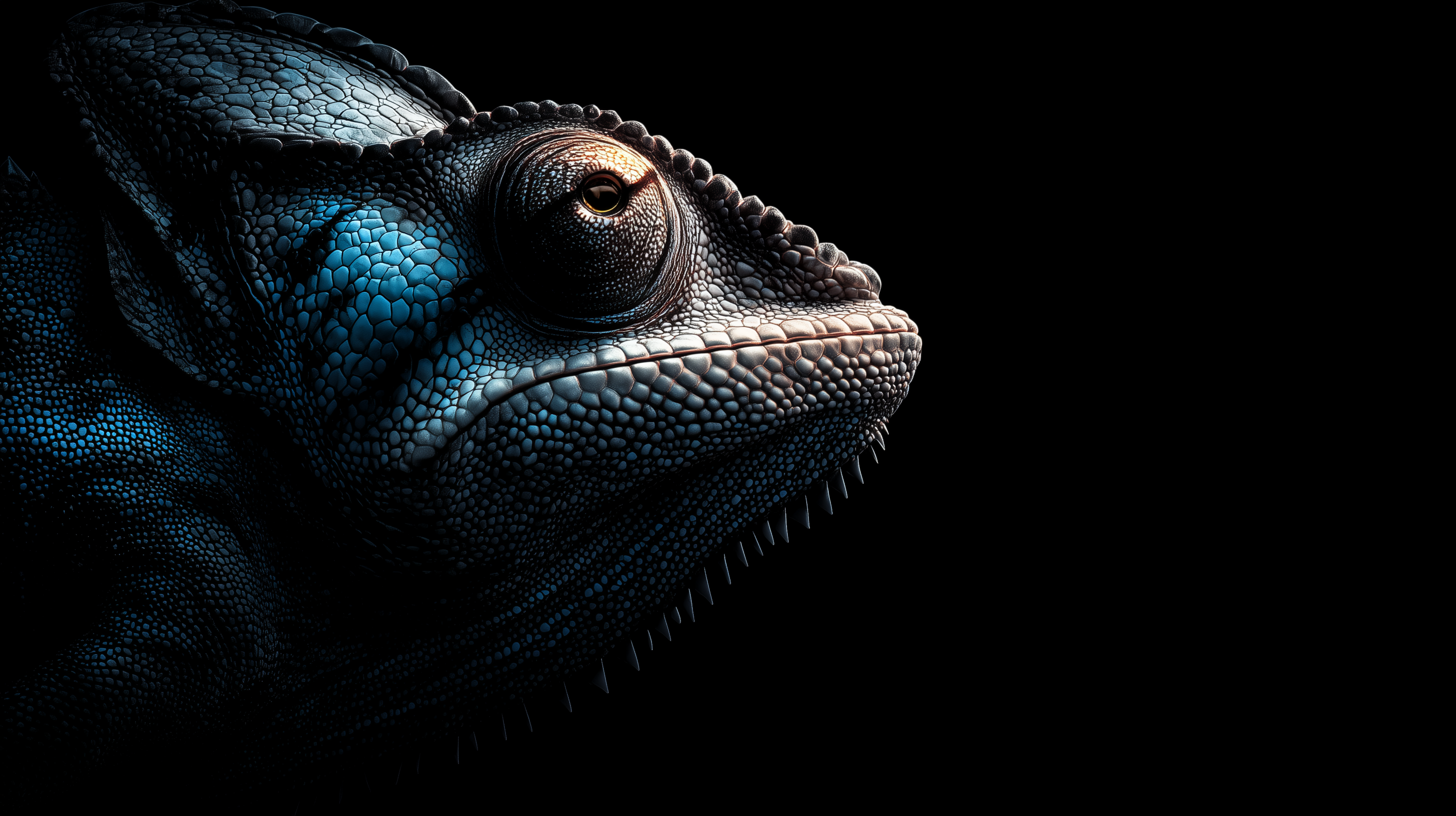 fond d'écran Caméléon gratuit pc téléchargement gratuit