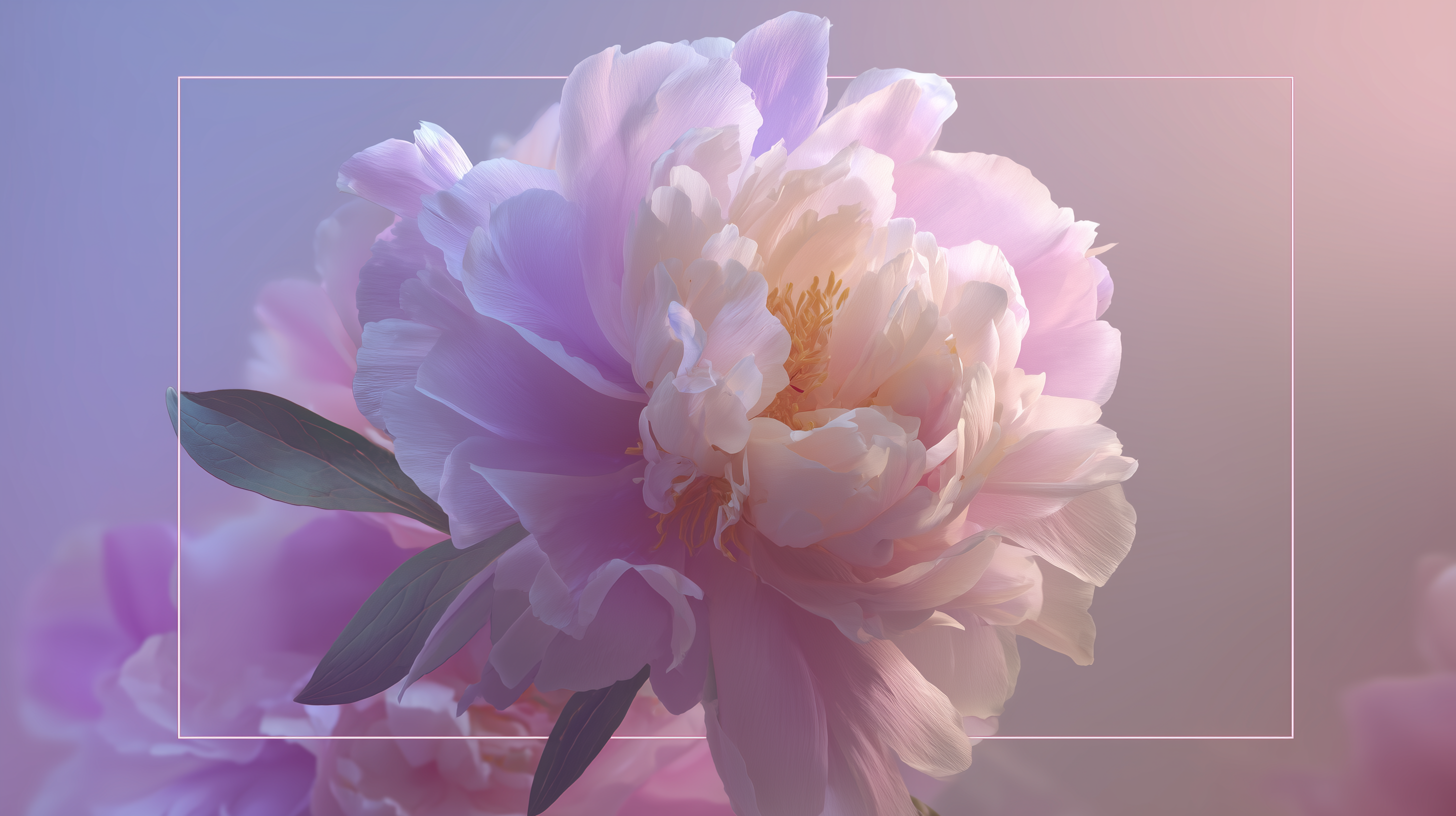 fond d'écran Pivoines windows 11 4k téléchargement gratuit