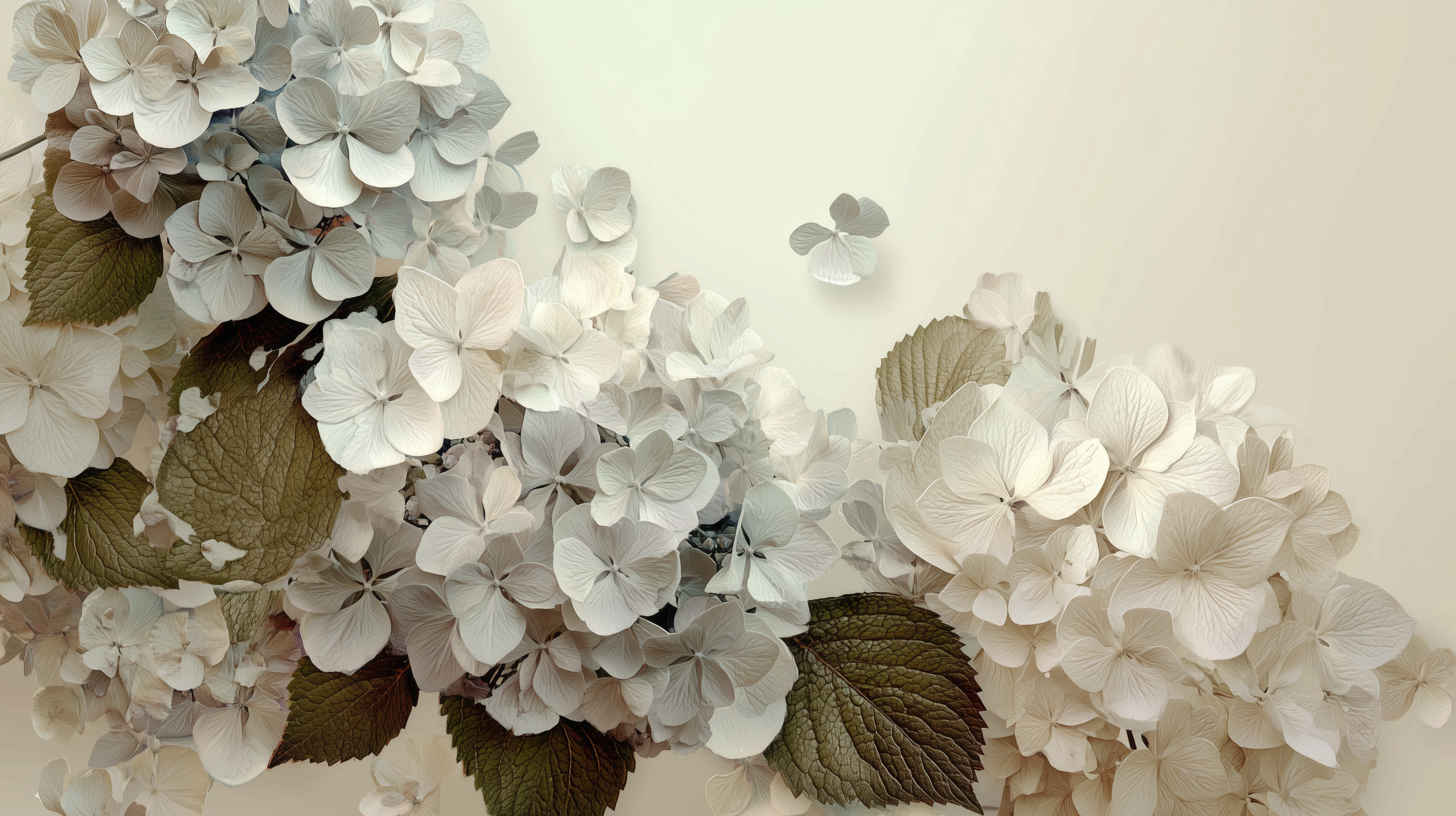 fond d'écran Hortensias gratuit pc téléchargement gratuit