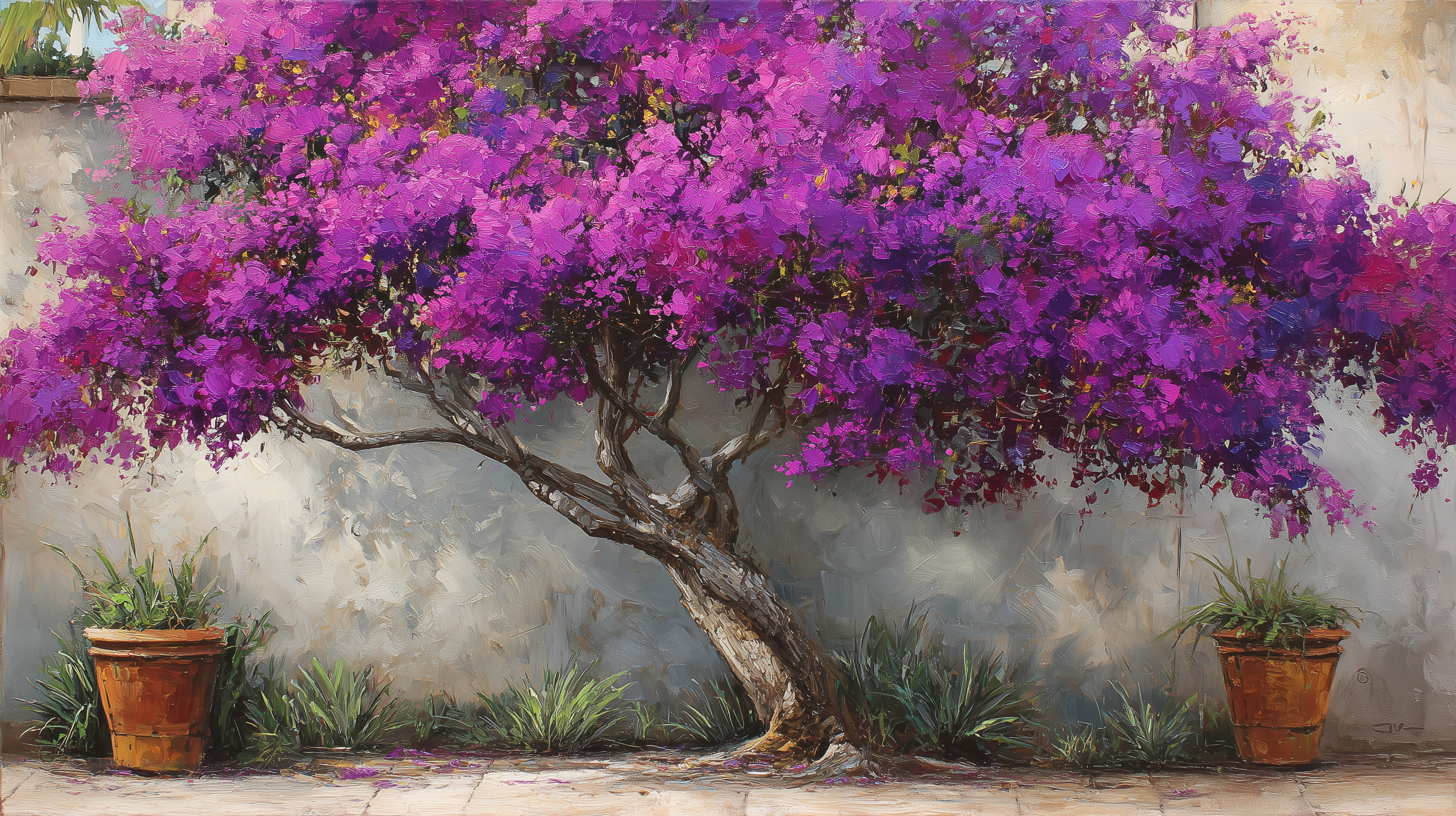 fond d'écran Bougainvillea 1440p 4k téléchargement gratuit