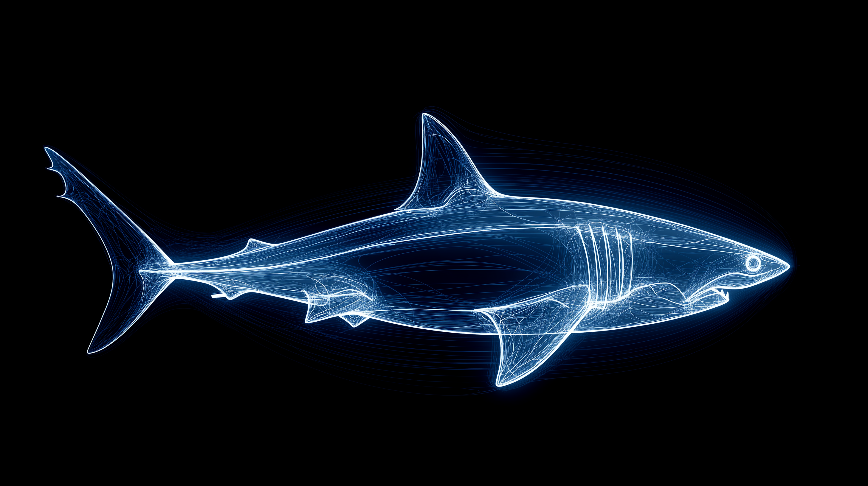 fond d'écran Requin Huawei téléchargement gratuit