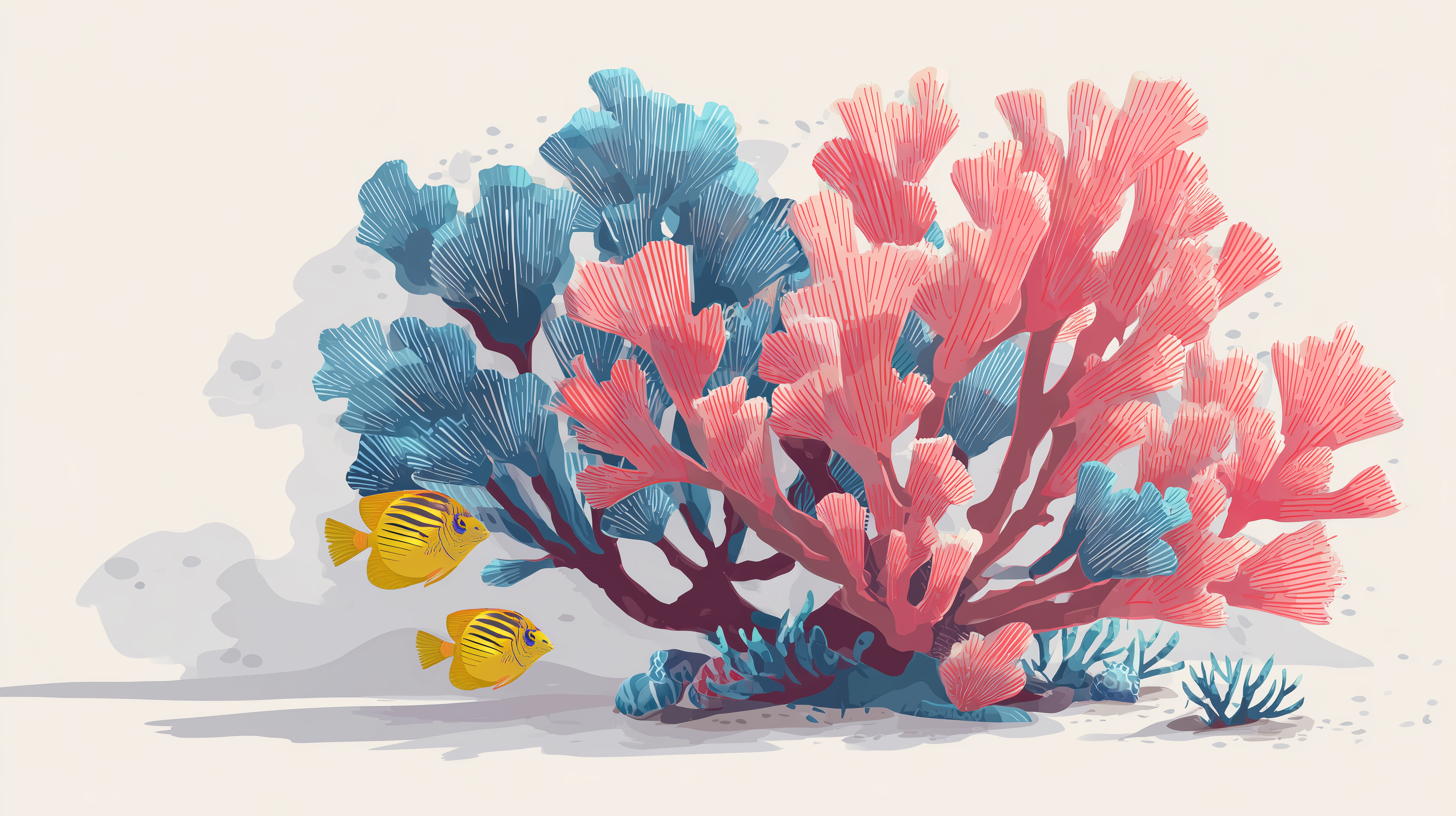 fond d'écran recif corail 2560x1600 hd téléchargement gratuit