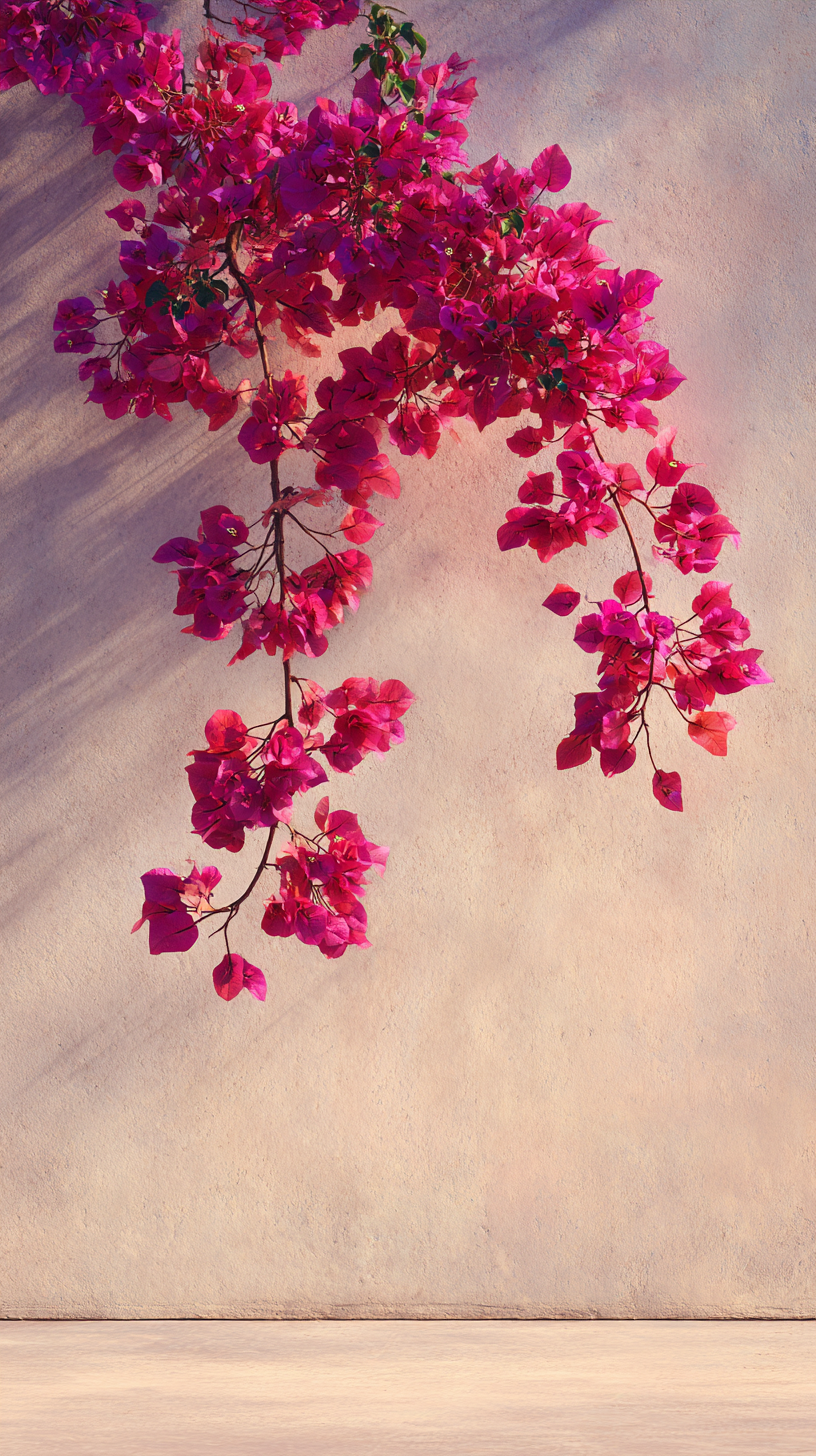 fond d'écran Bougainvillea iphone 4k gratuit