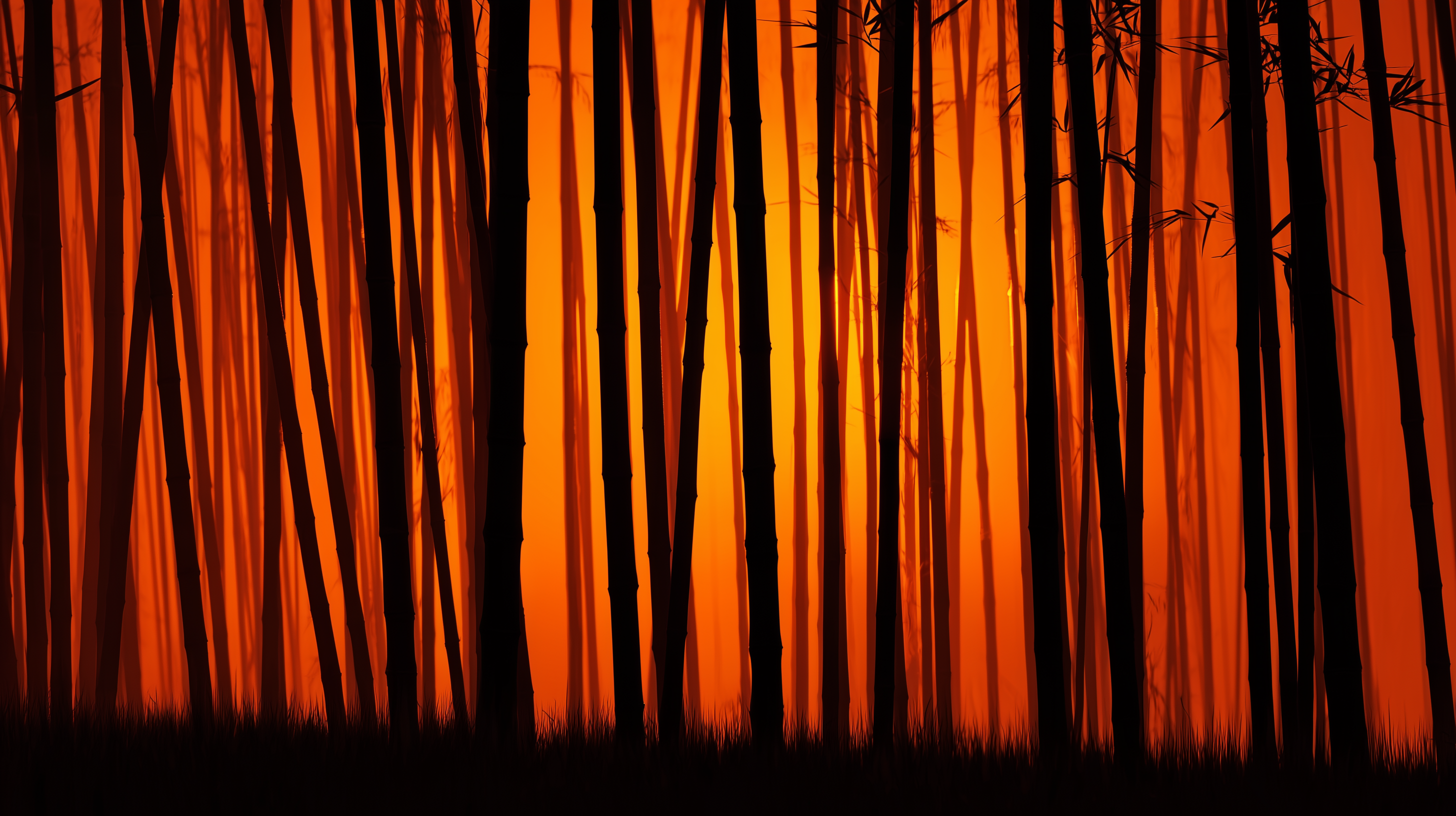 fond d'écran bambou mac 1920x1080 téléchargement gratuit