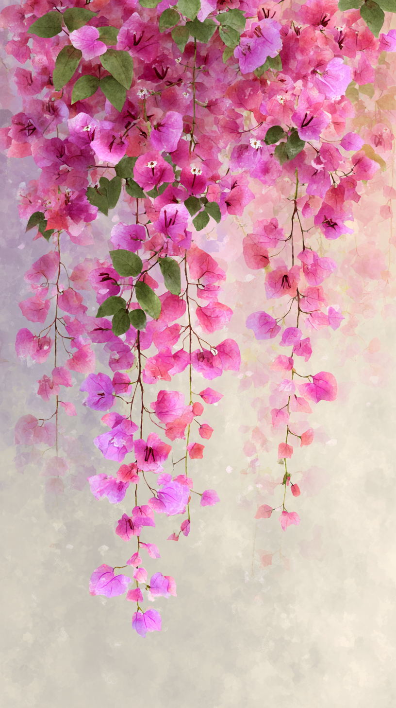 fond d'écran Bougainvillea iphone 7 télécharger gratuit