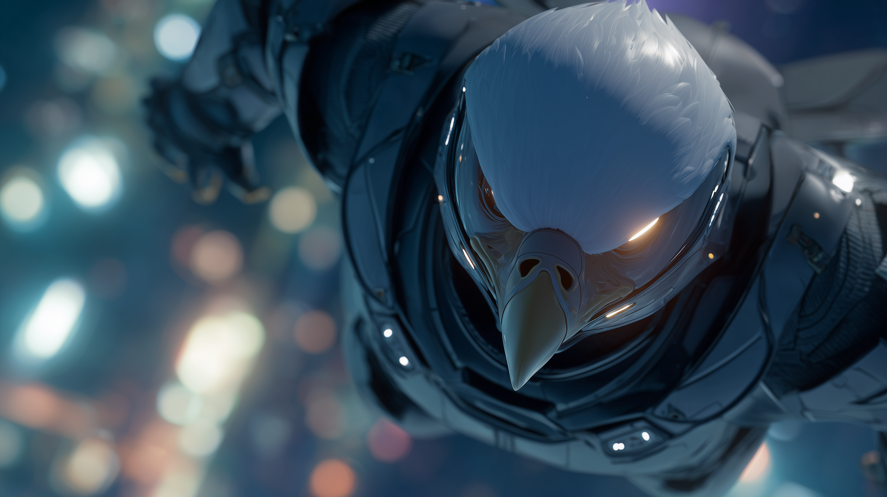 dell fond d'écran Pygargue à tête blanche téléchargement gratuit