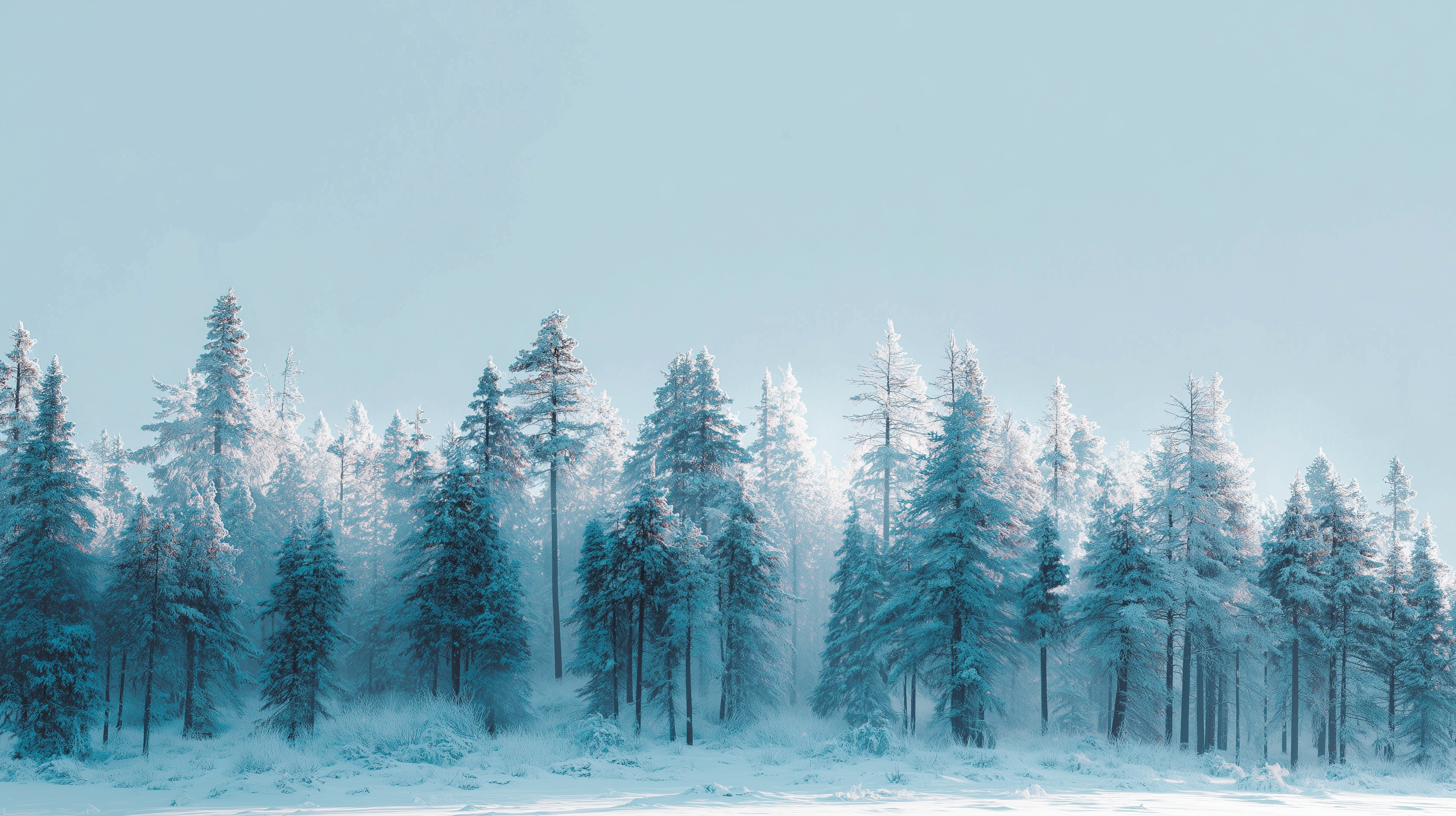 fond d'écran Chromebook windows 4k téléchargement gratuit