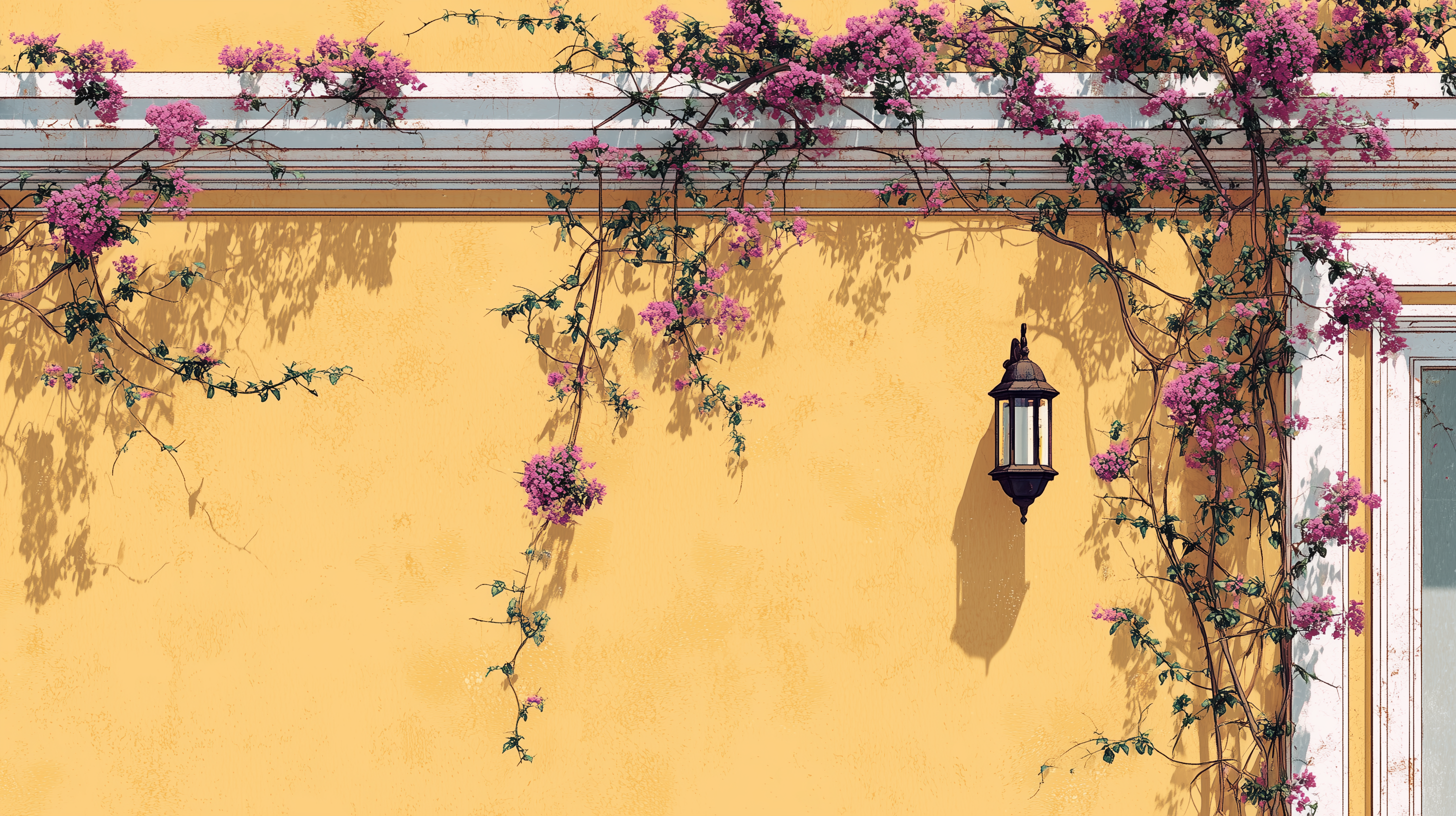 fond d'écran Bougainvillea windows 4k téléchargement gratuit