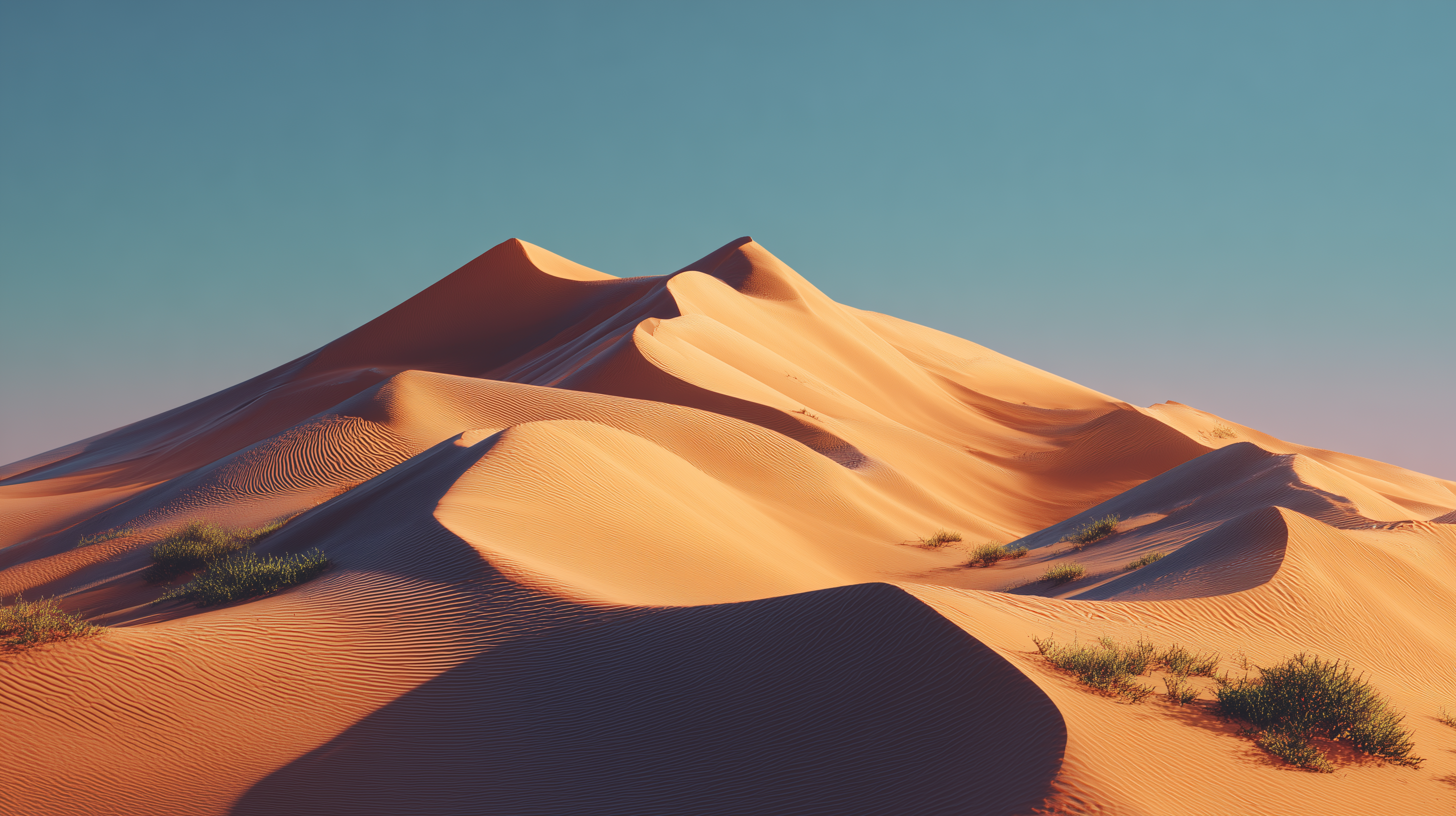 fond d'écran Chromebook pc windows 11 téléchargement gratuit