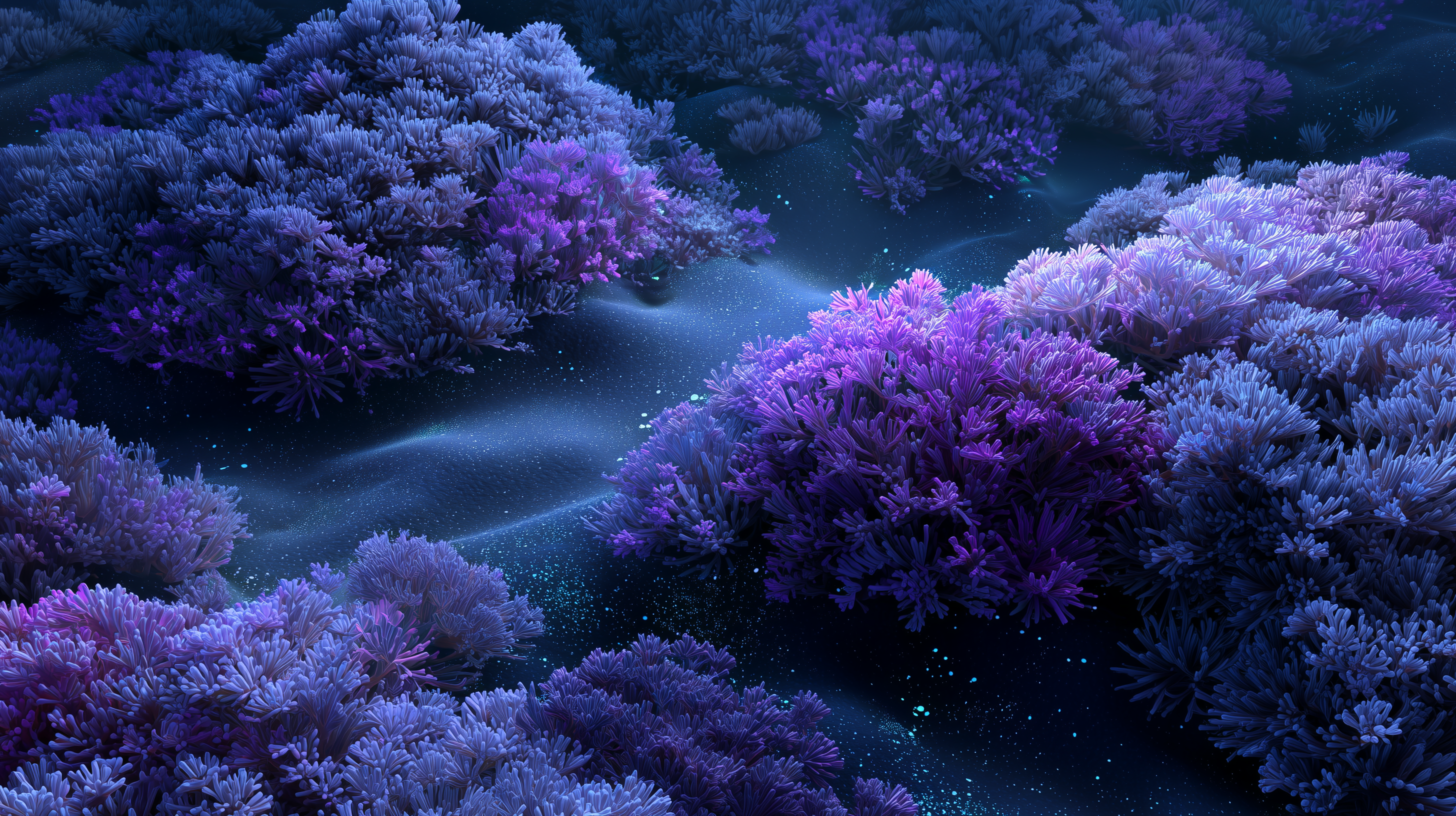 fond d'écran recif corail pc téléchargement gratuit