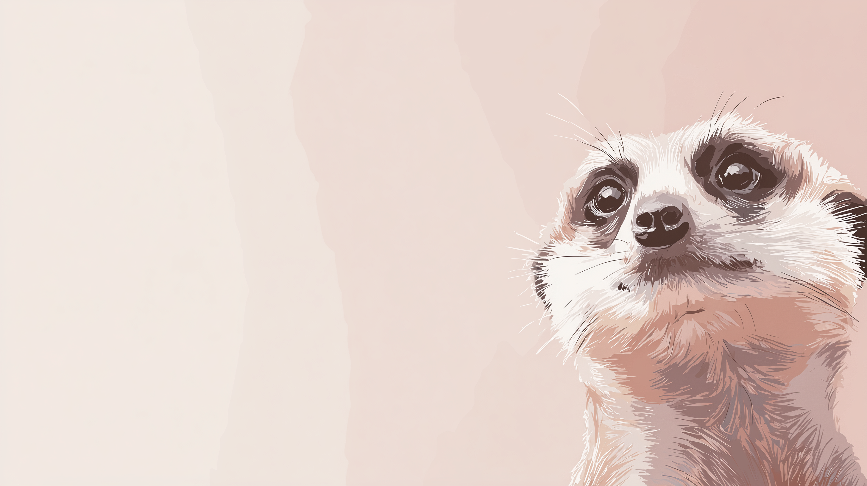 fond d'écran Suricate 1440p 4k téléchargement gratuit