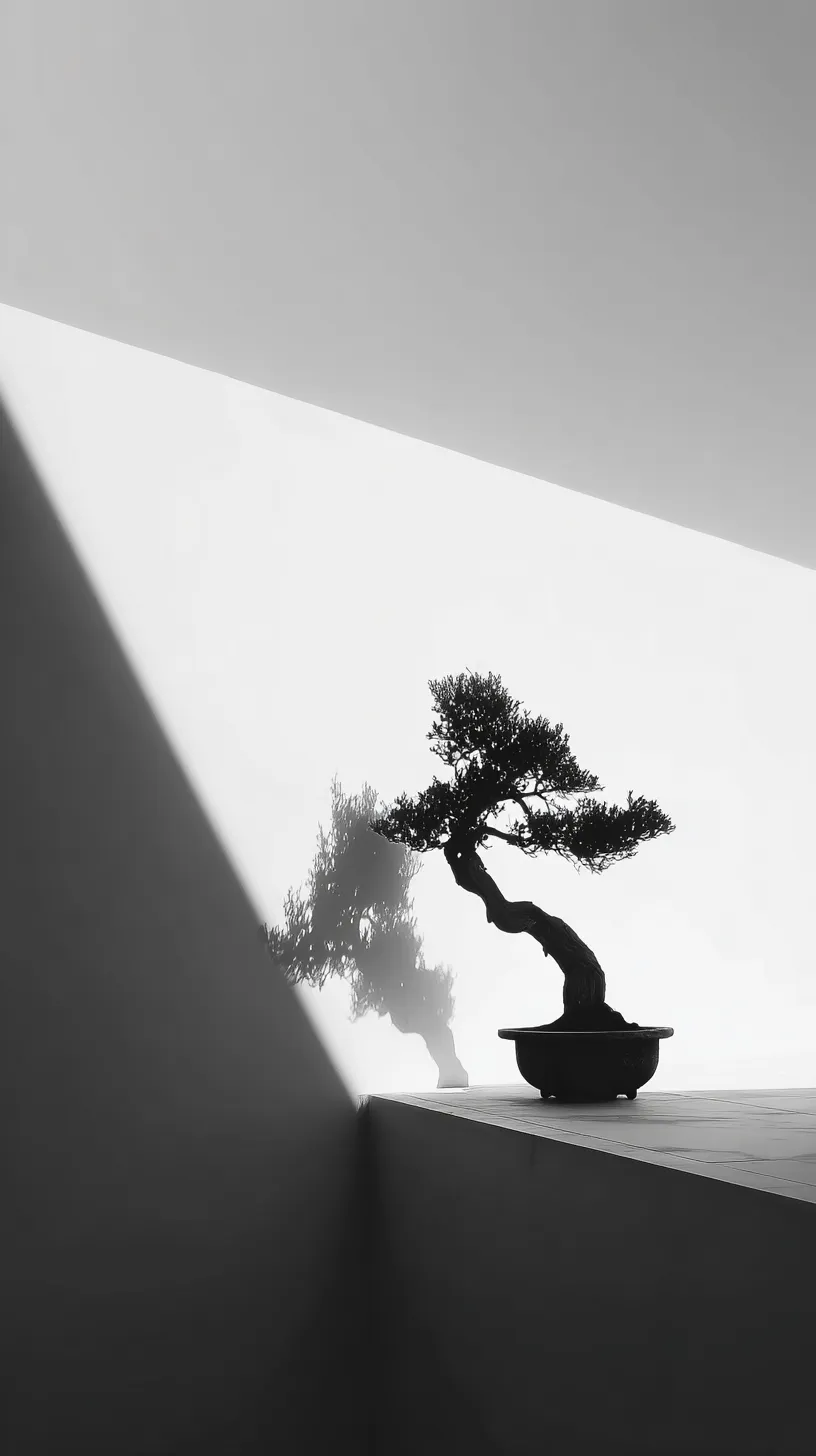 fond d'écran Bonsaï updated haute qualité pour tablette android gratuit