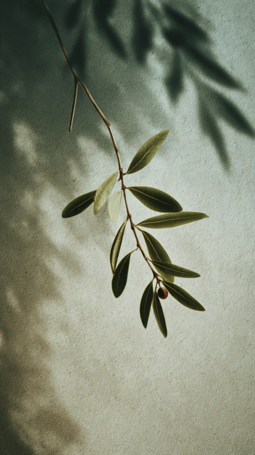 fond d'écran Olea téléphone 4k gratuit