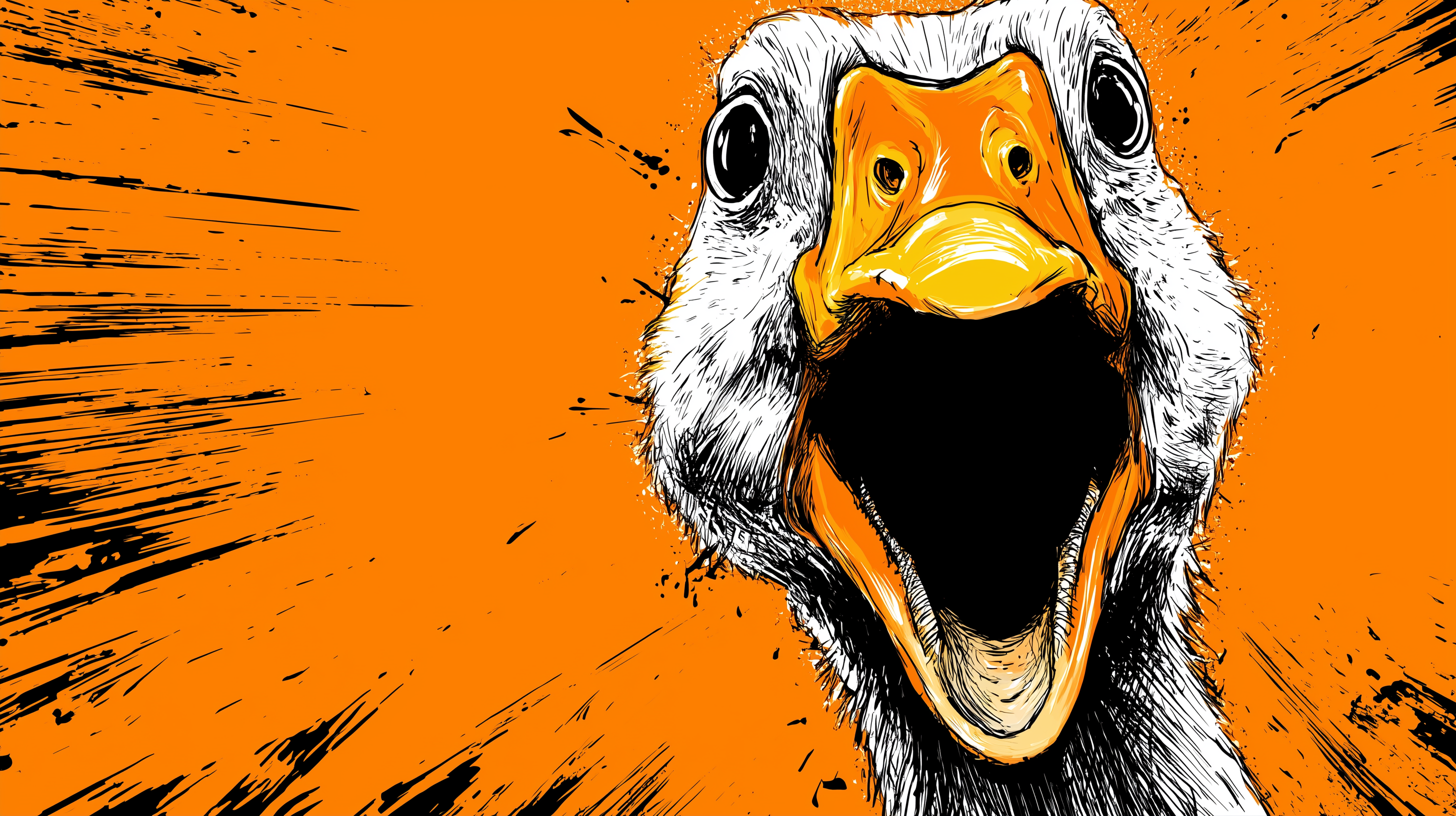 fond d'écran Canard 4k windows 11 téléchargement gratuit