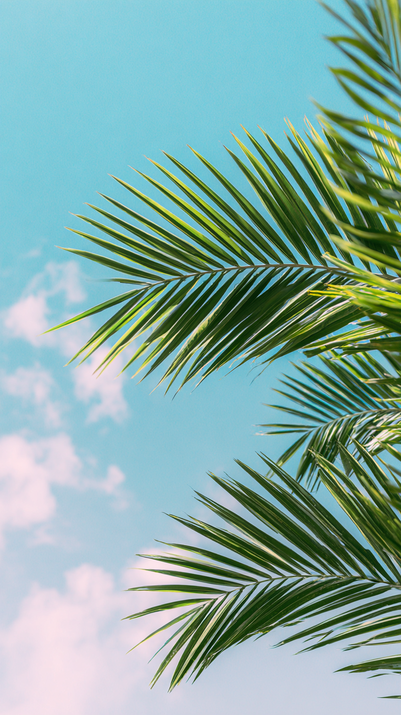 fond d'écran Feuilles pour tablette android gratuit télécharger gratuit