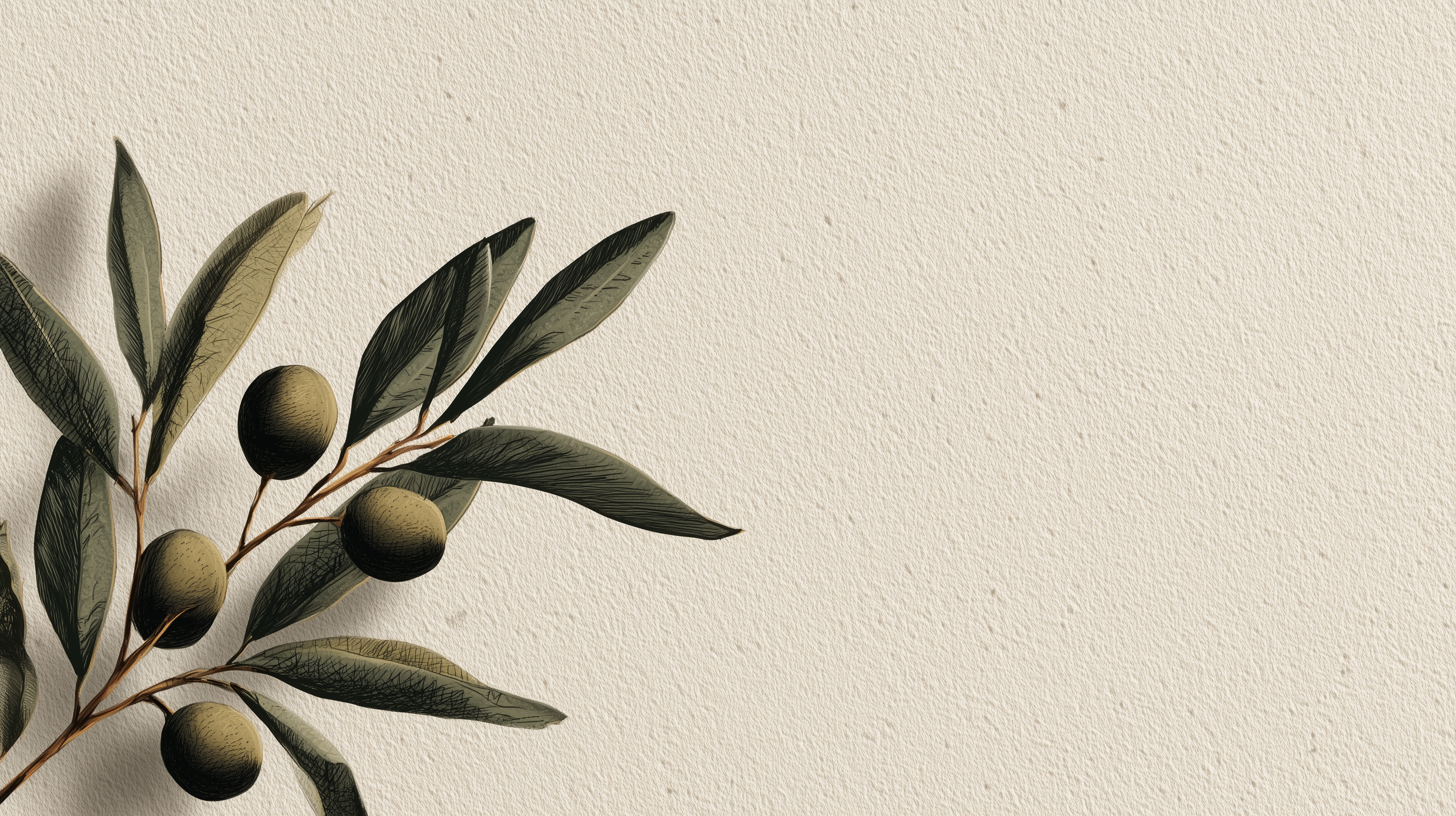 fond d'écran Olea pc hd téléchargement gratuit