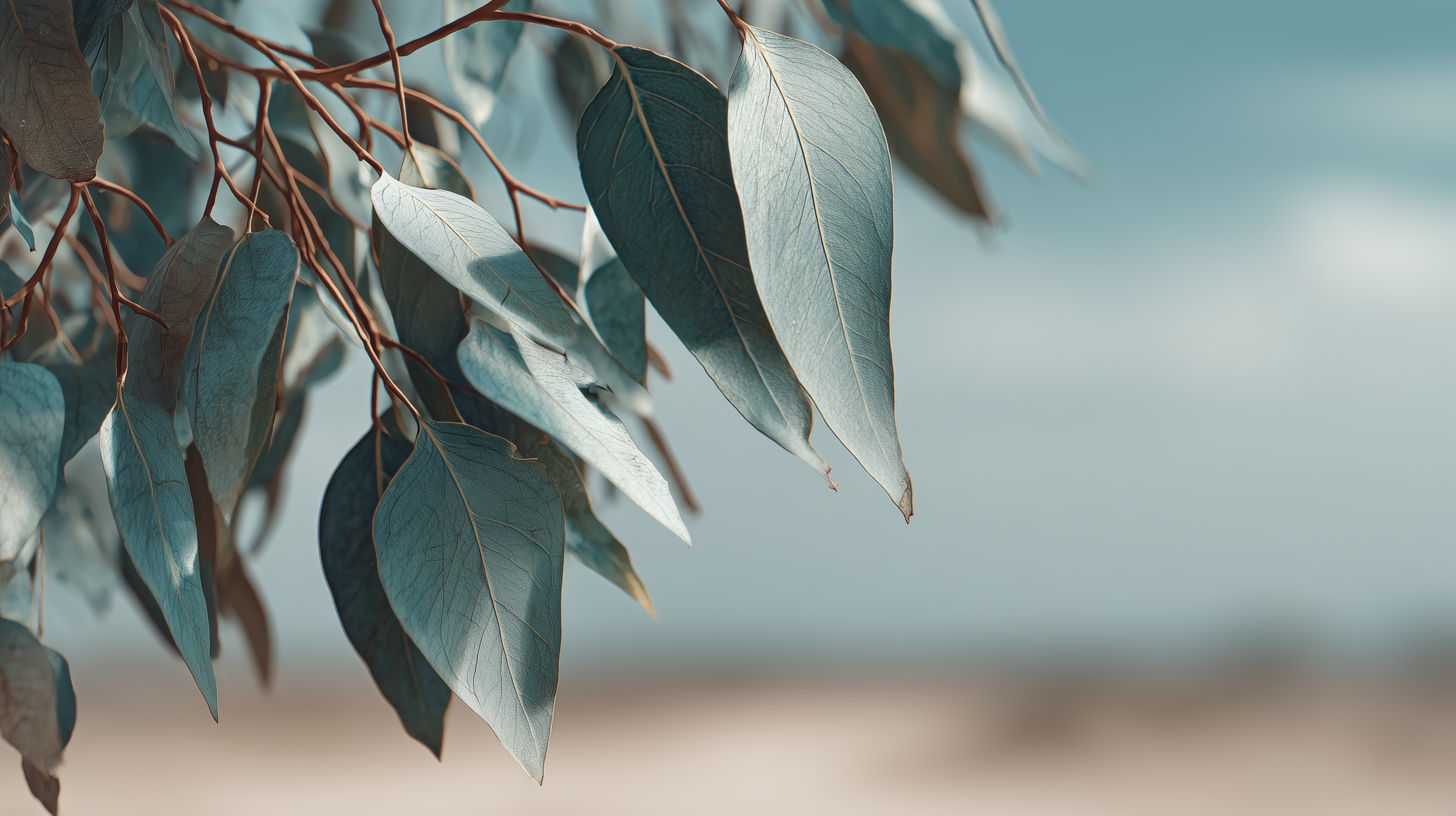 fond d'écran Feuilles 5k pc téléchargement gratuit