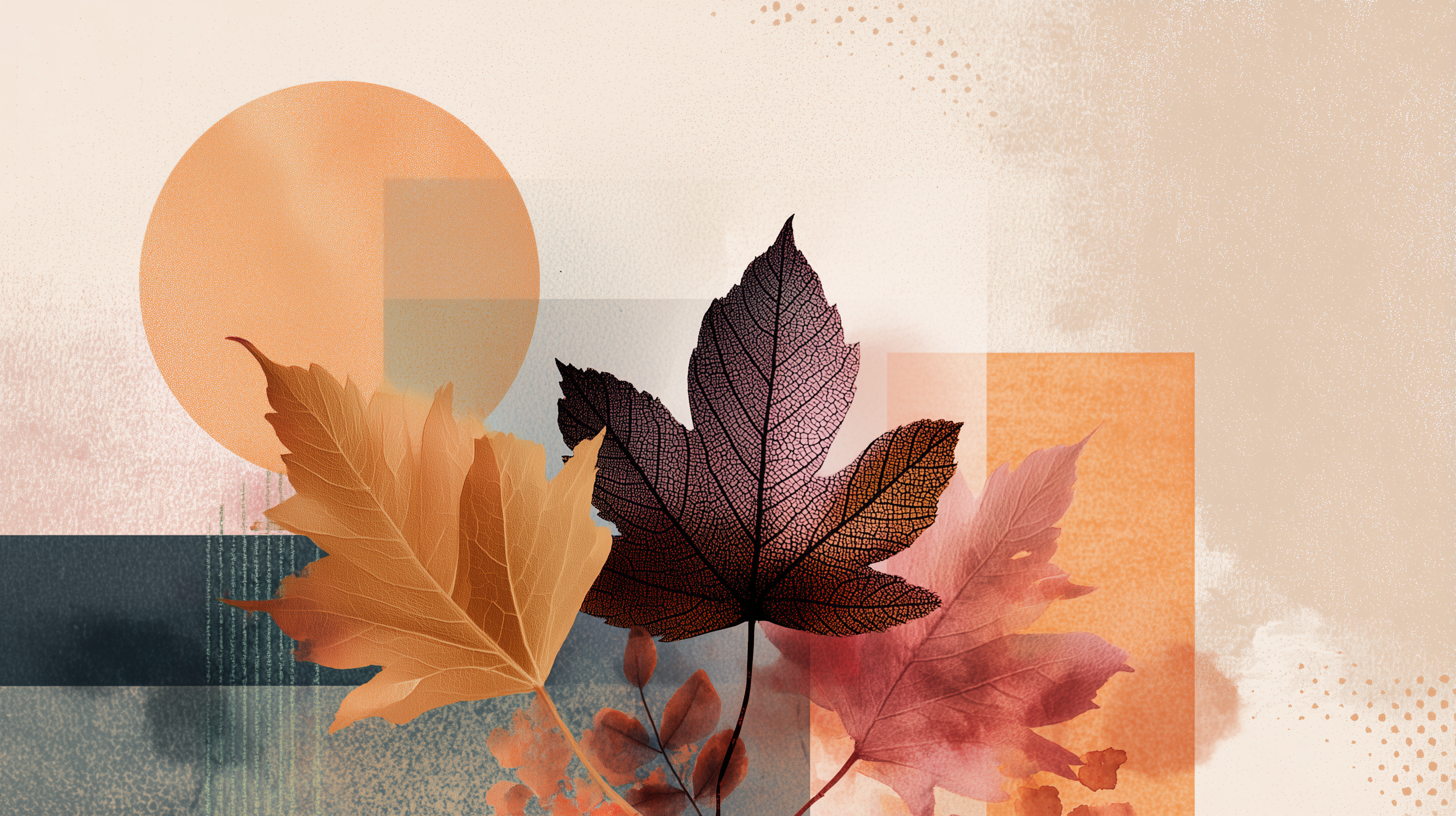 fond d'écran Feuilles windows 4k téléchargement gratuit