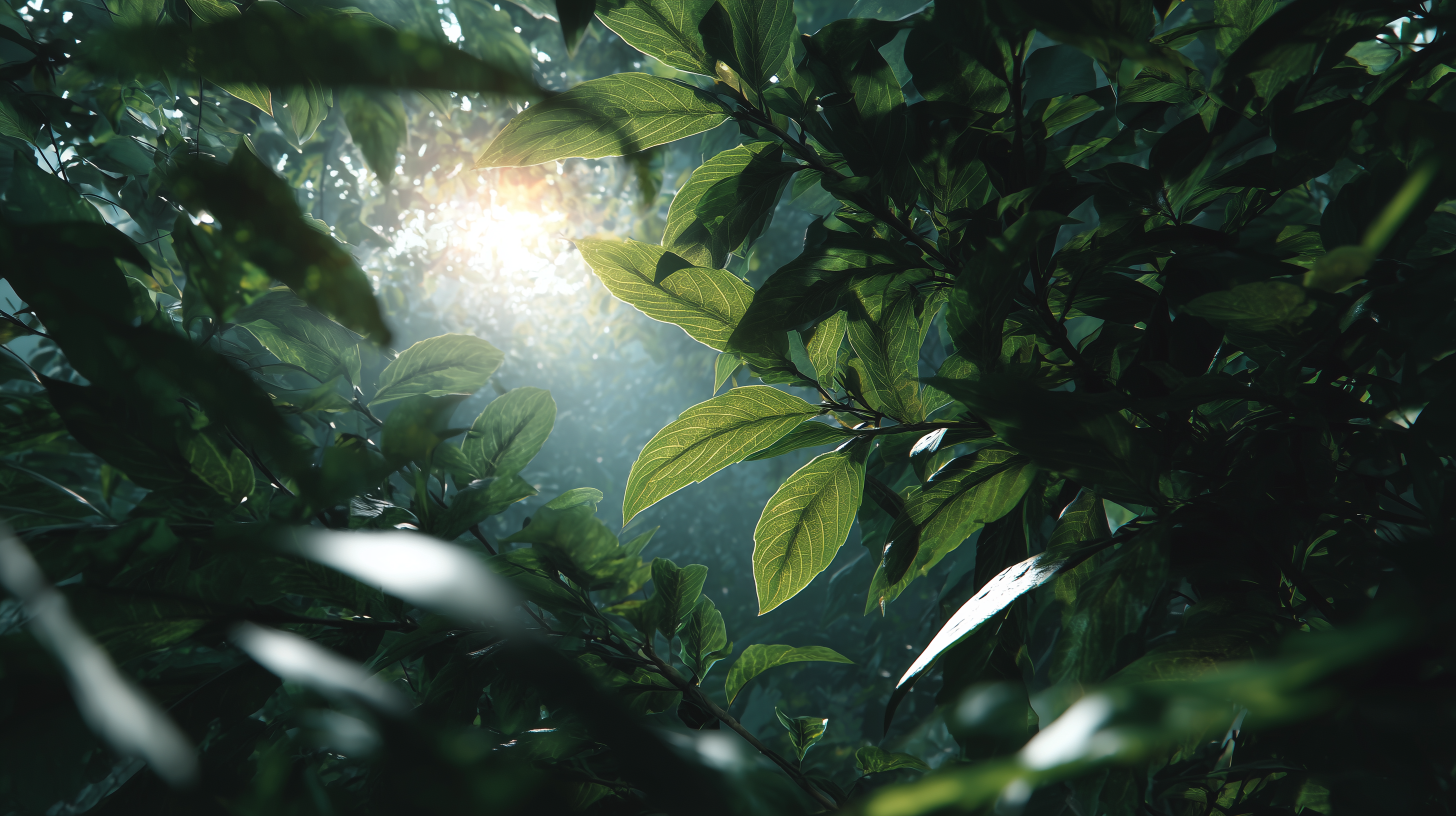 fond d'écran Feuilles 1920x1080 téléchargement gratuit