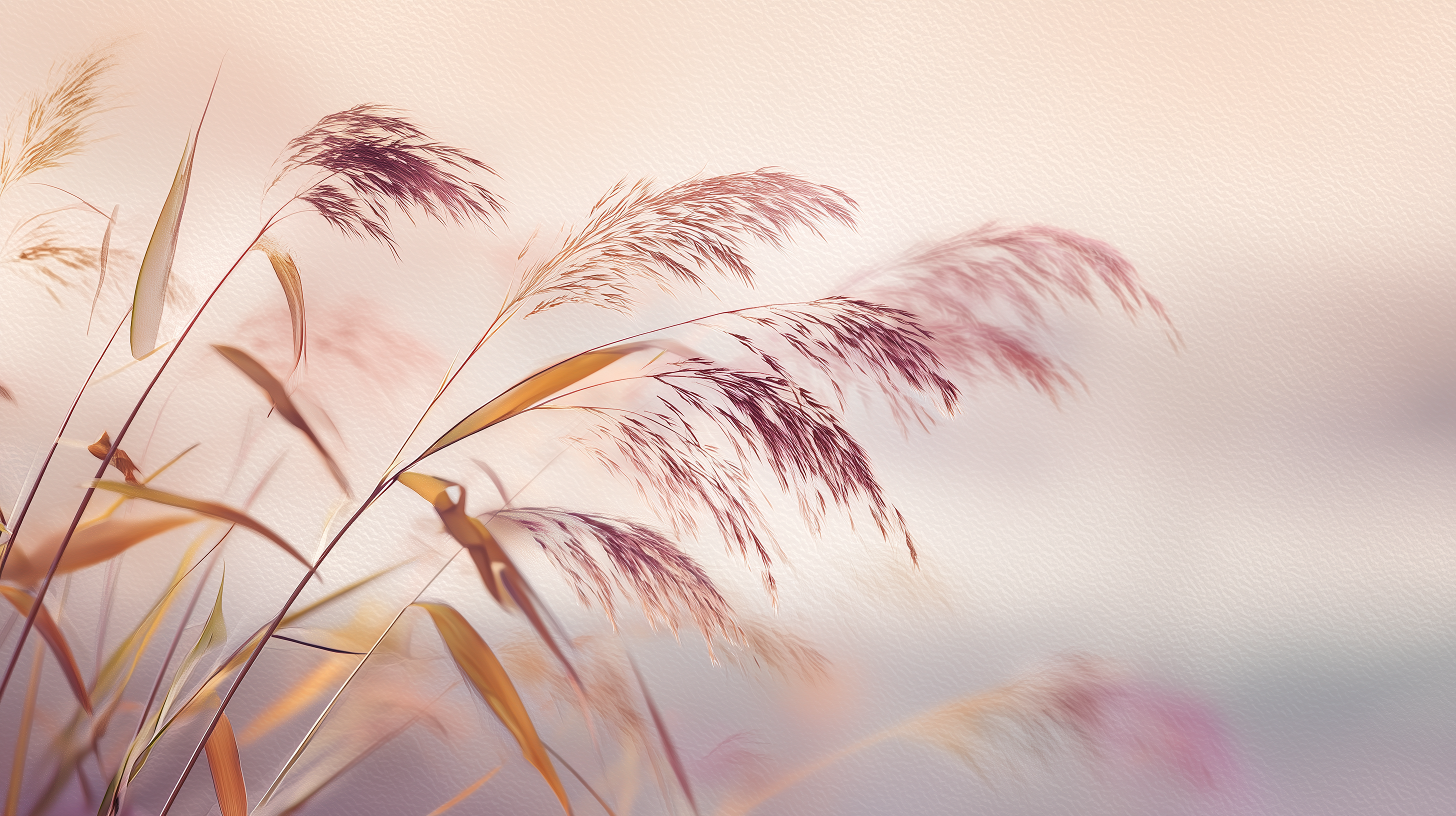 fond d'écran roseau 4k windows 11 téléchargement gratuit