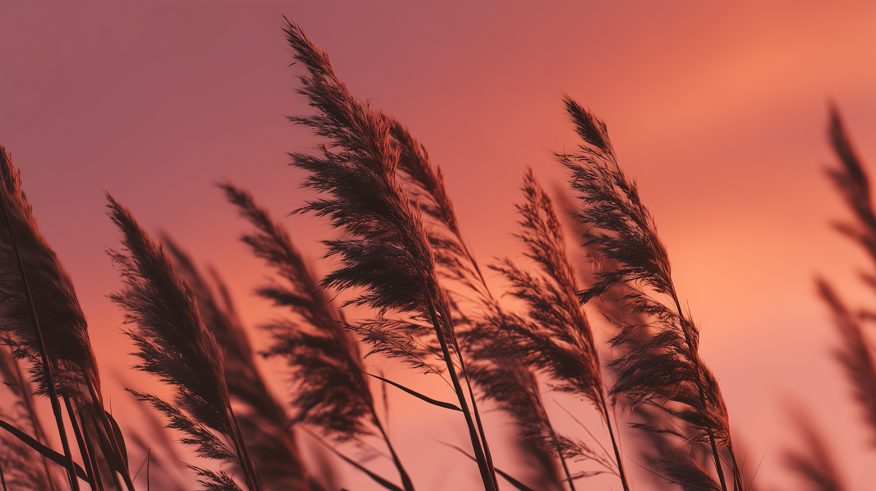 fond d'écran Chevalier 5120x2880 téléchargement gratuit