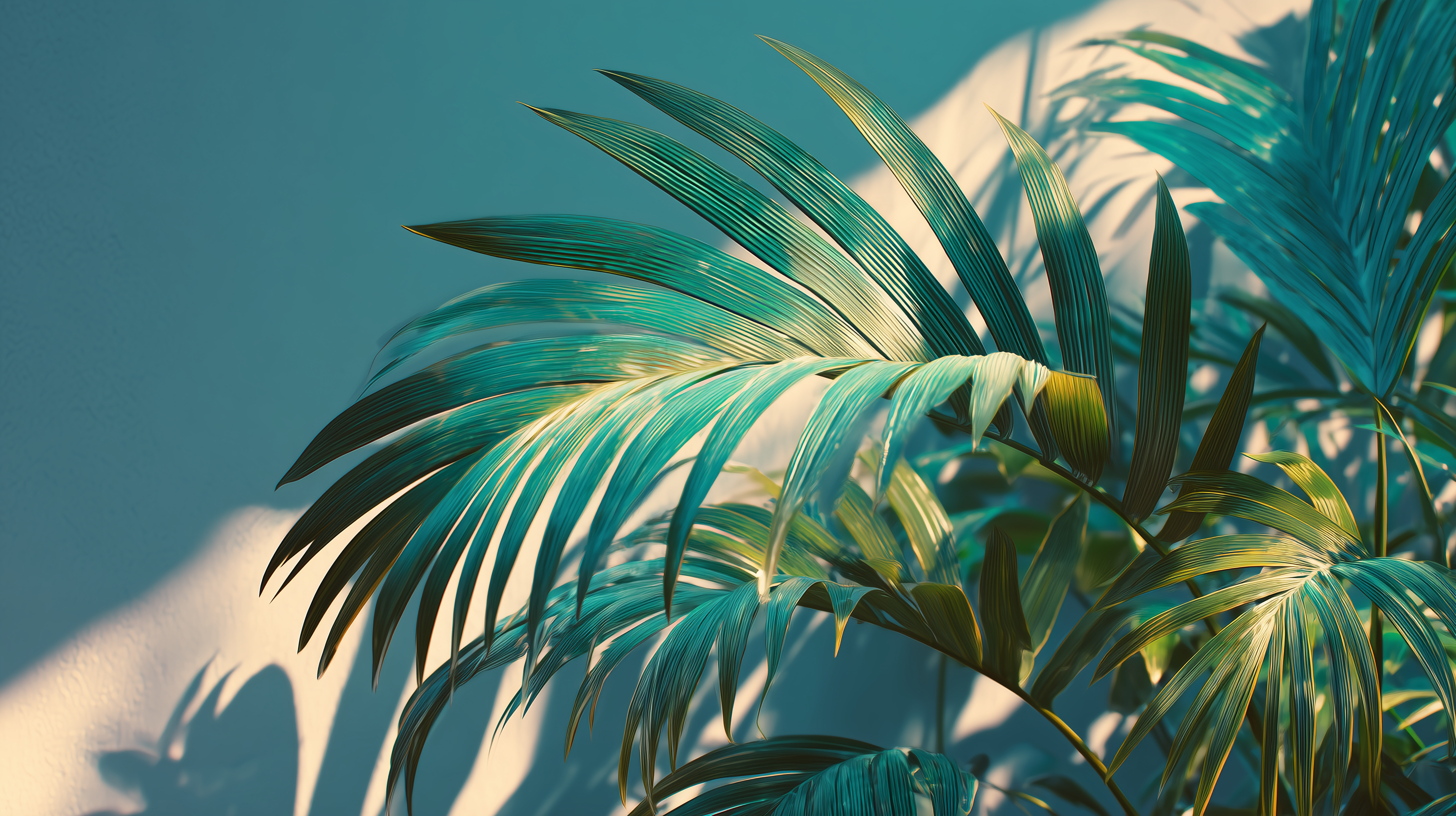 fond d'écran Feuilles pc ultra hd 3840x2160 téléchargement gratuit