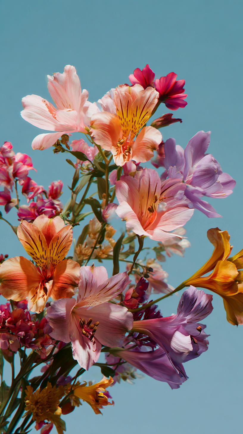 fond d'écran Bouquet de fleurs téléphone OnePlus télécharger gratuit