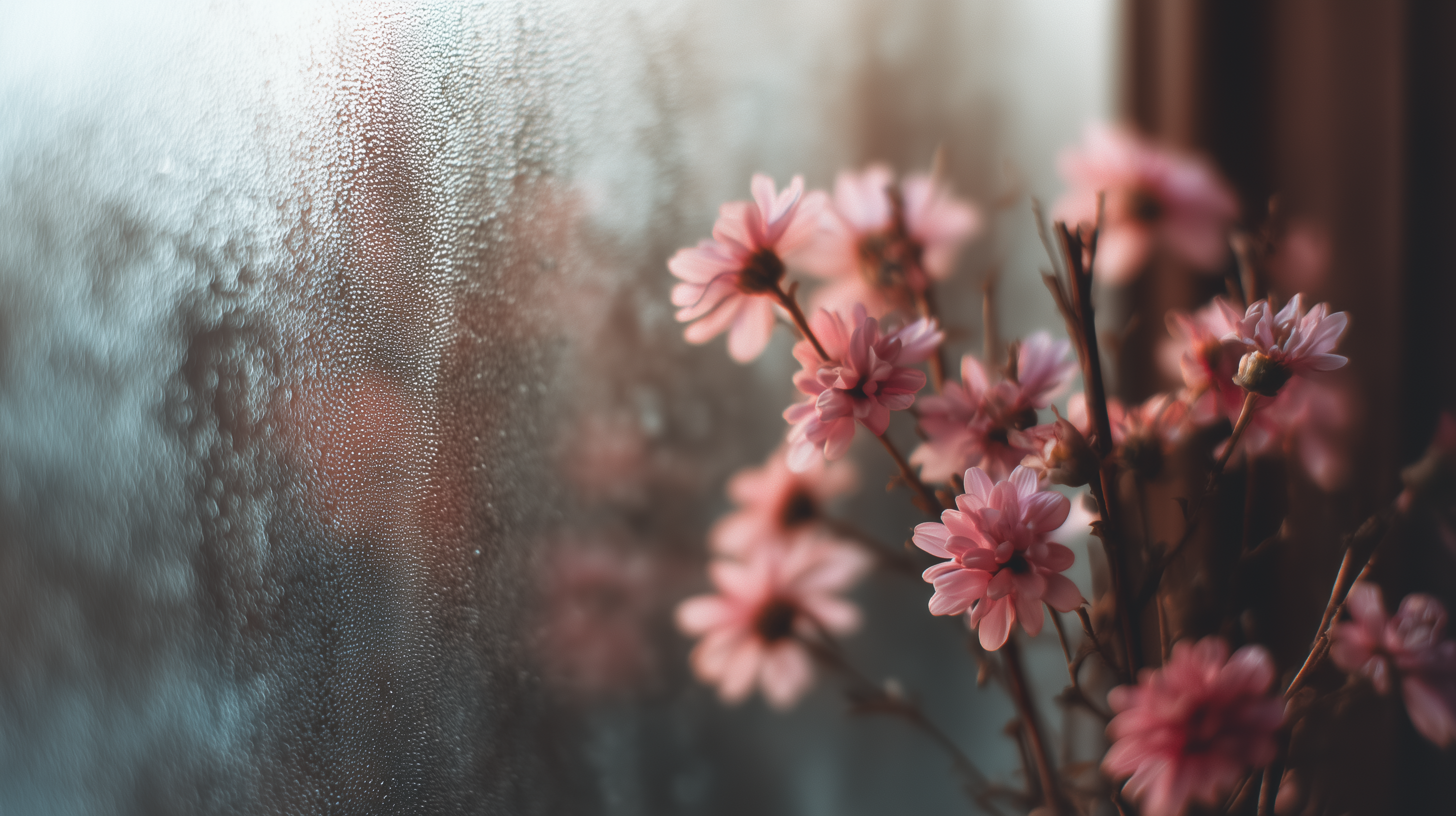 fond d'écran Bouquet de fleurs Microsoft Surface téléchargement gratuit