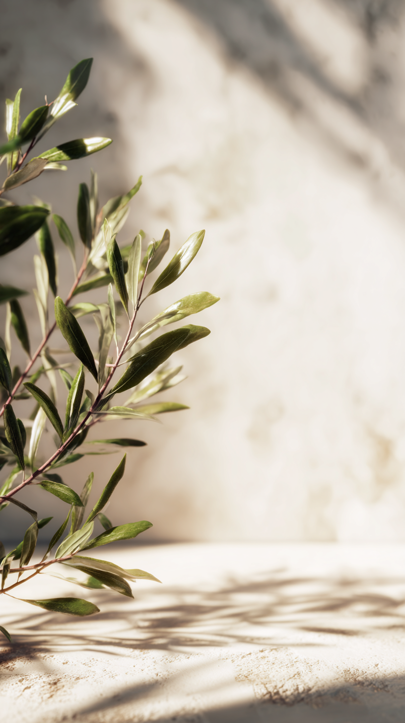 fond d'écran Olea iphone gratuit télécharger gratuit